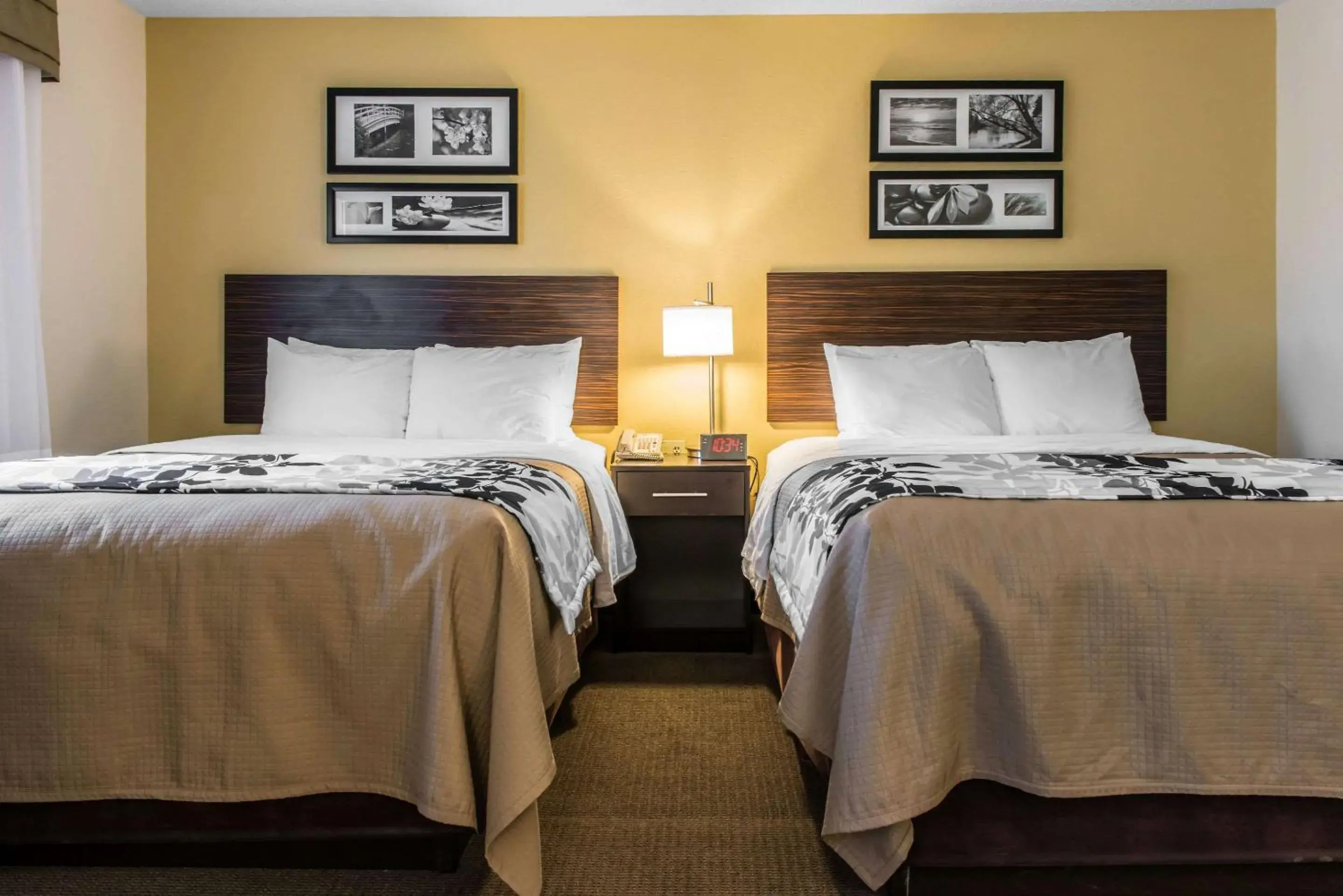 Photo of the whole room, Bed in Sleep Inn & Suites Pittsburgh Airport Photo of the whole room, Bed in Sleep Inn & Suites Pittsburgh Airport