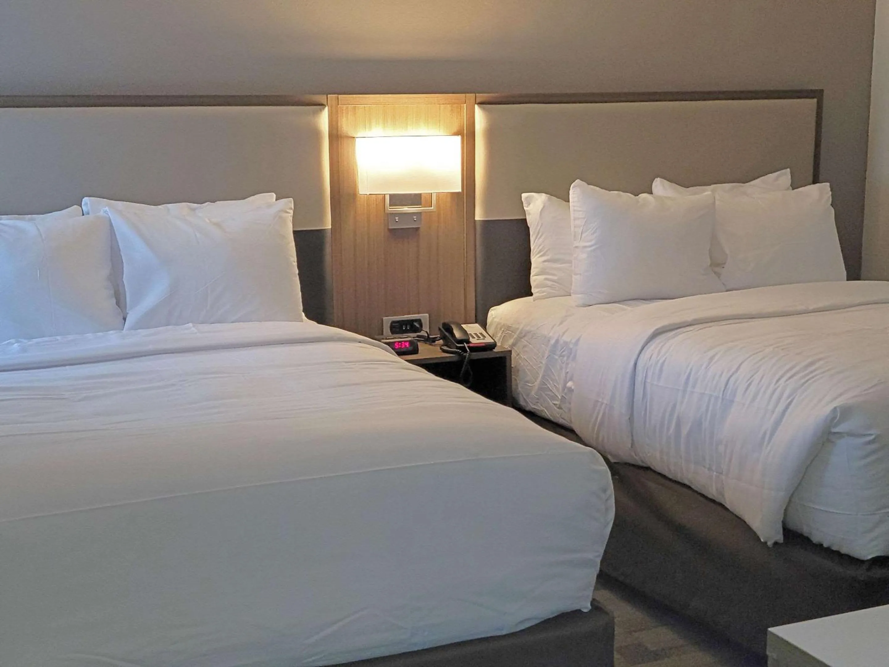 Photo of the whole room, Bed in Comfort Inn & Suites Wyomissing-Reading