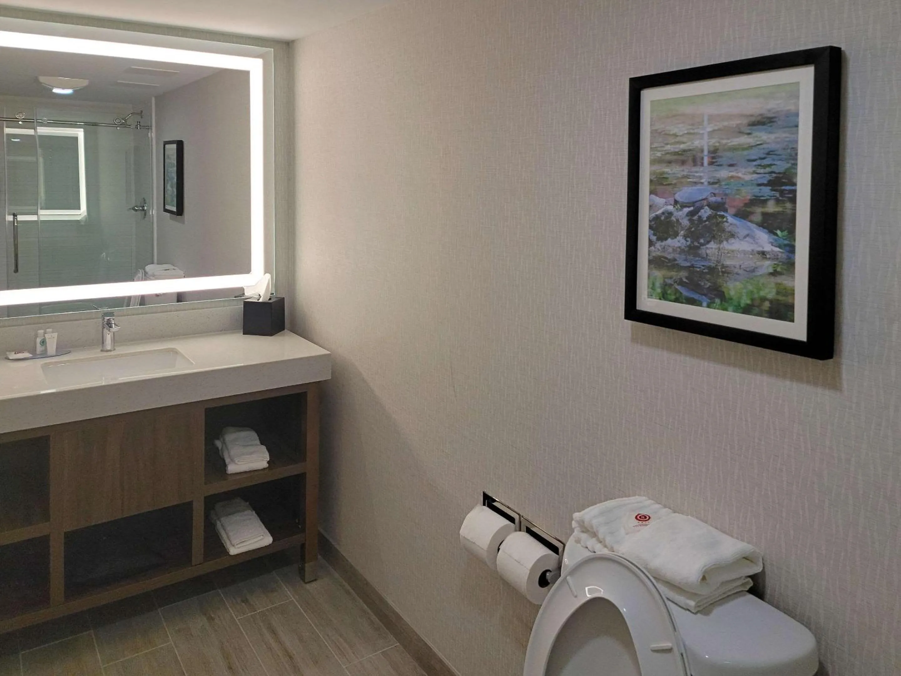 Toilet in Comfort Inn & Suites Wyomissing-Reading