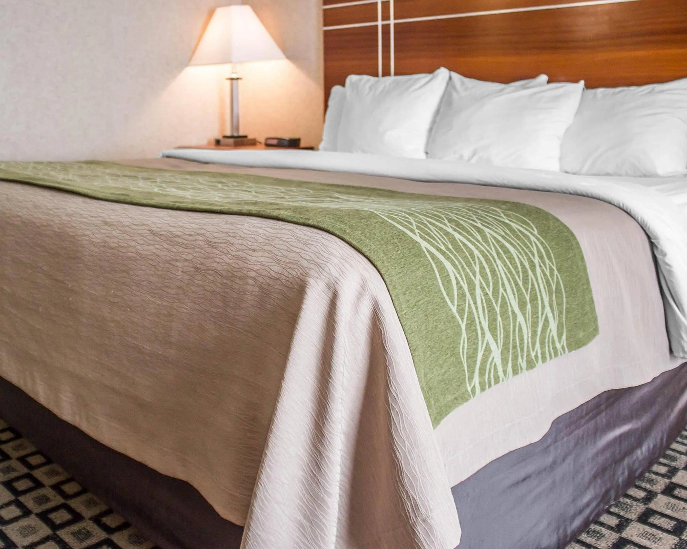 Bedroom, Bed in Quality Inn Clarion