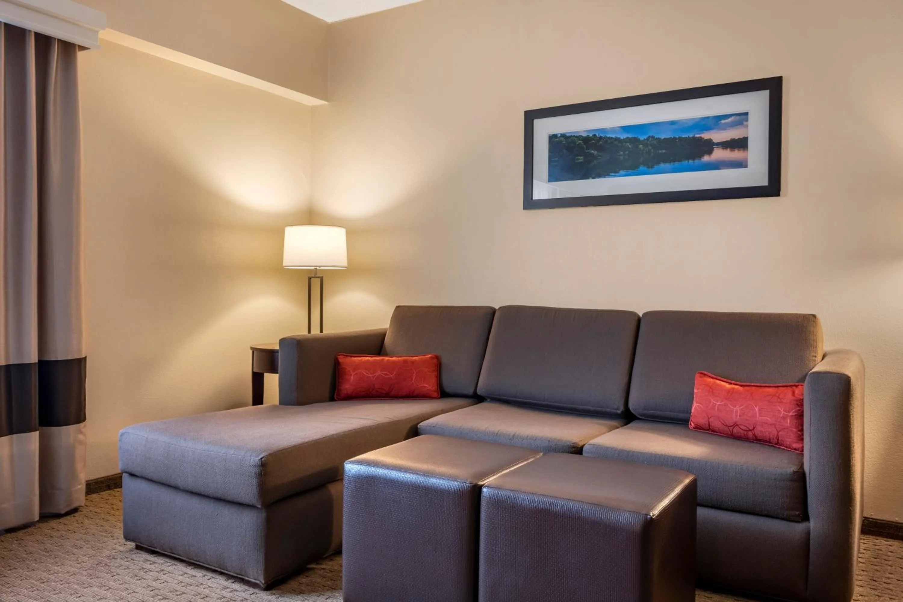 Living room in Comfort Suites State College near Penn State - Steps Away from PSU!