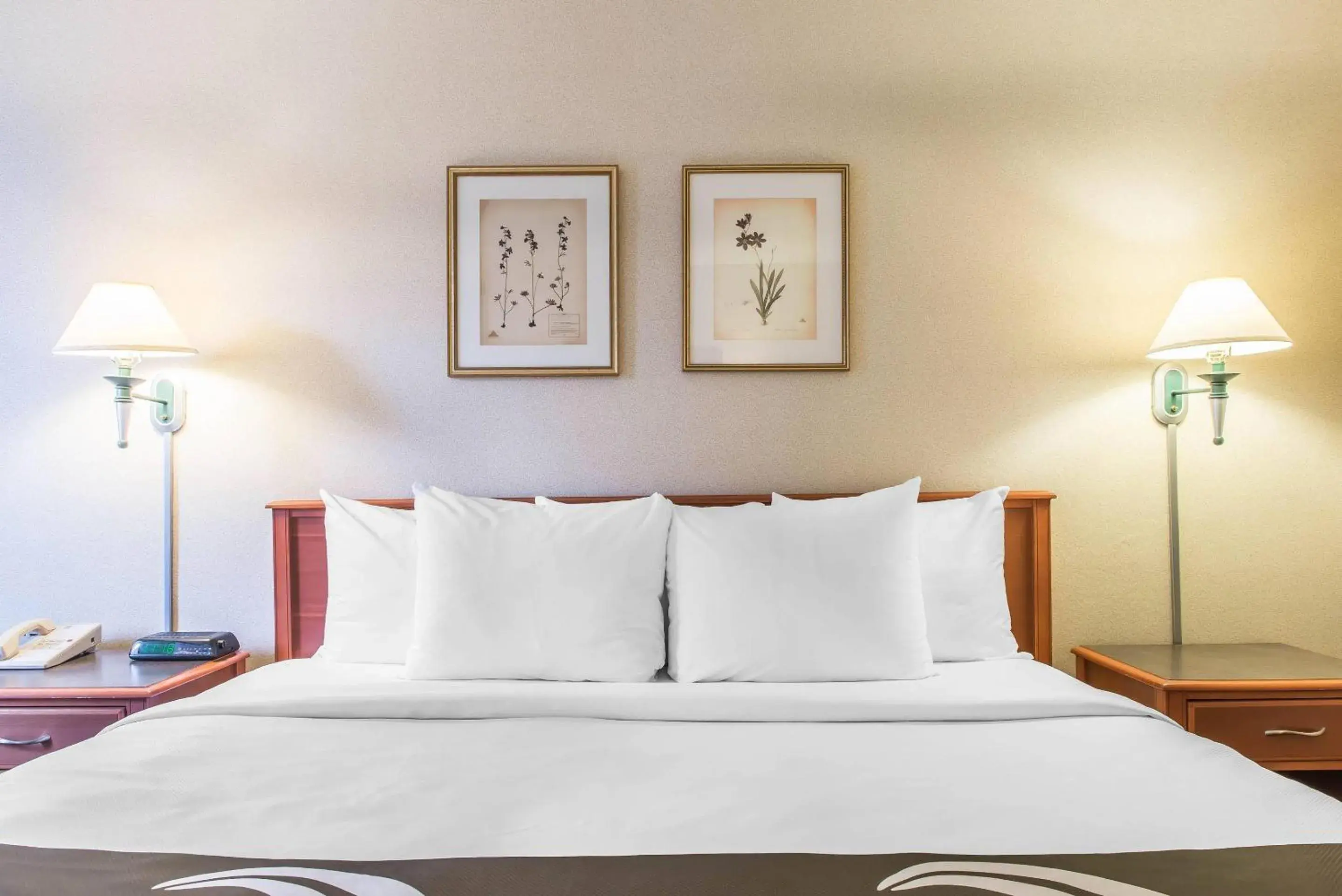 Bedroom, Bed in Quality Inn Bedroom, Bed in Quality Inn