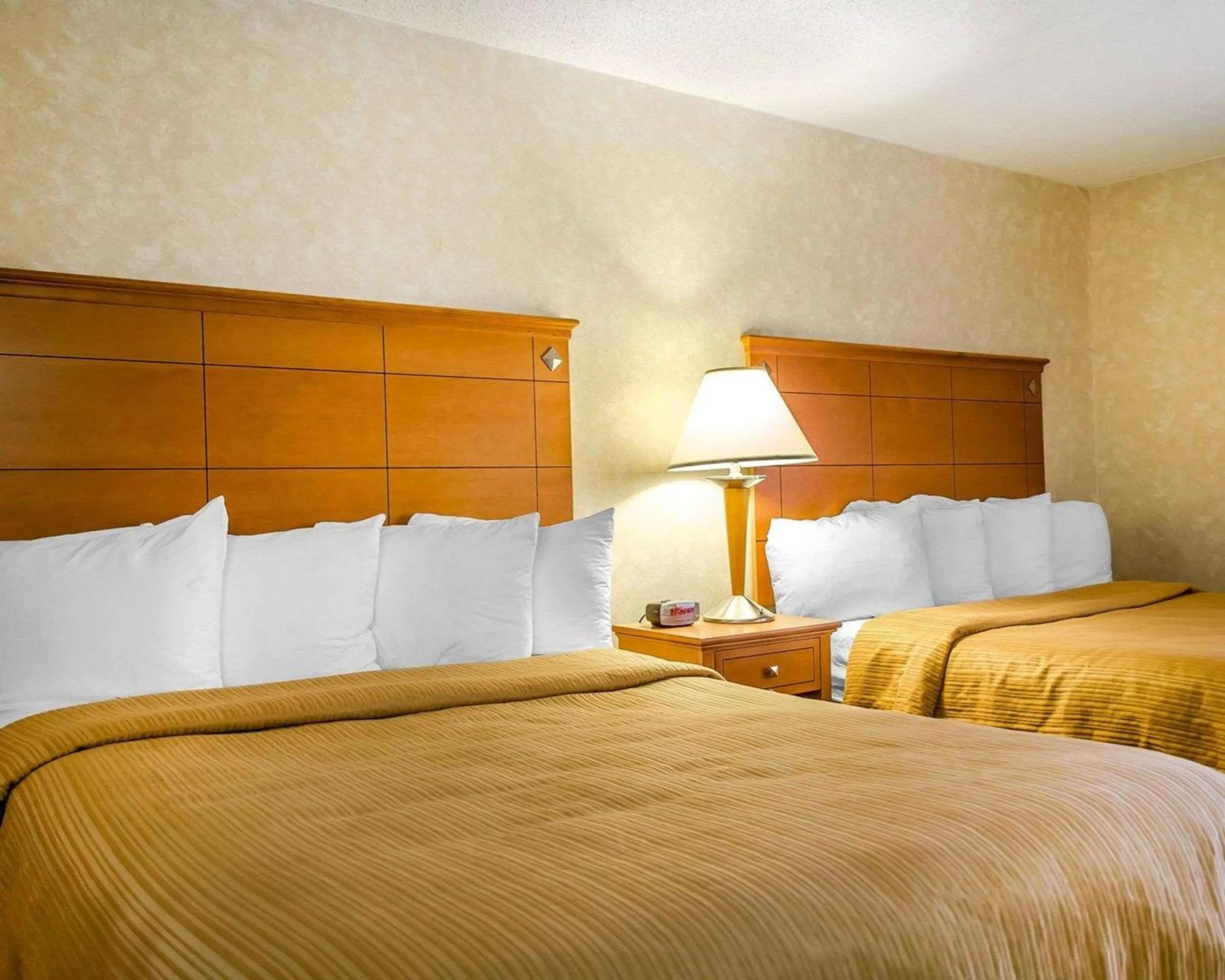 Photo of the whole room, Bed in Quality Inn Harrisburg - Hershey Area
