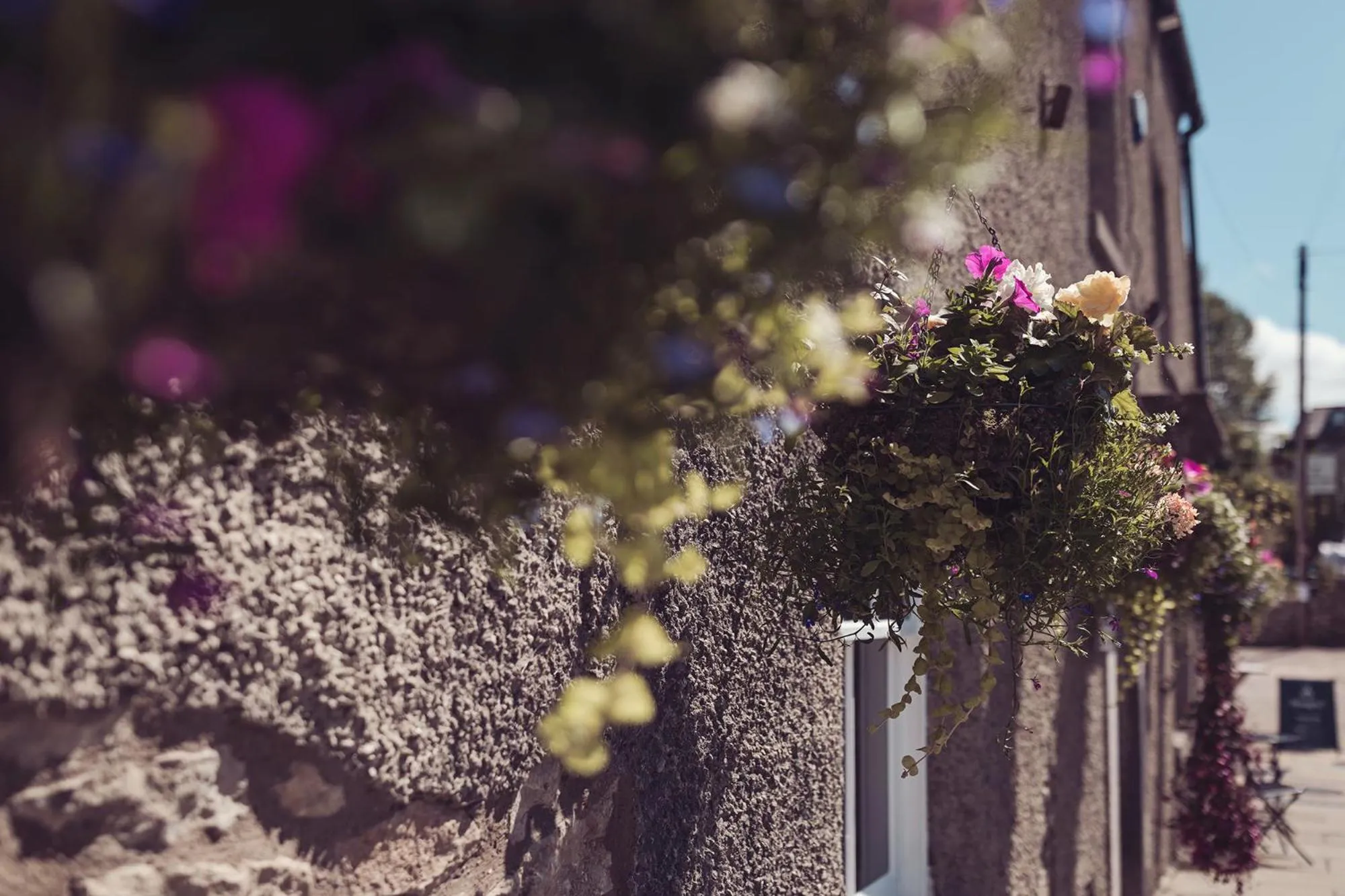 Property building in The New Inn