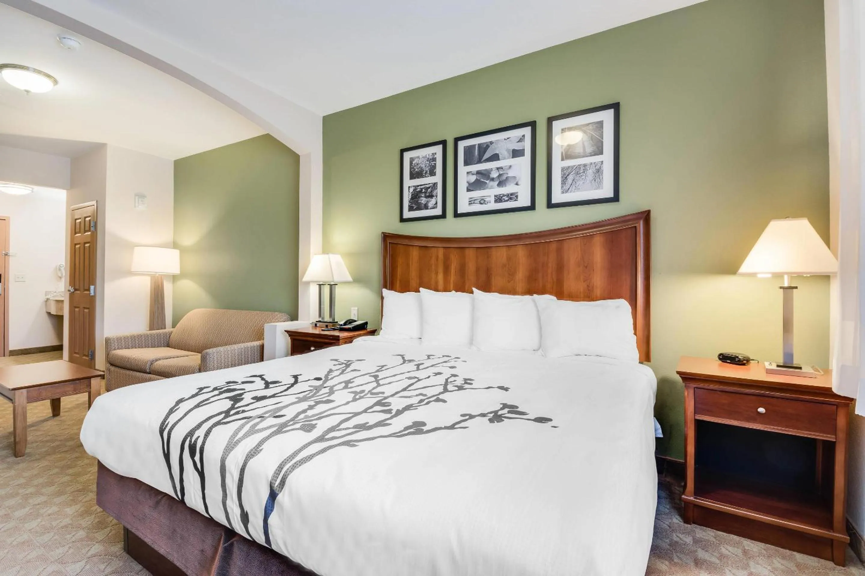 Bedroom, Bed in Sleep Inn & Suites Gettysburg