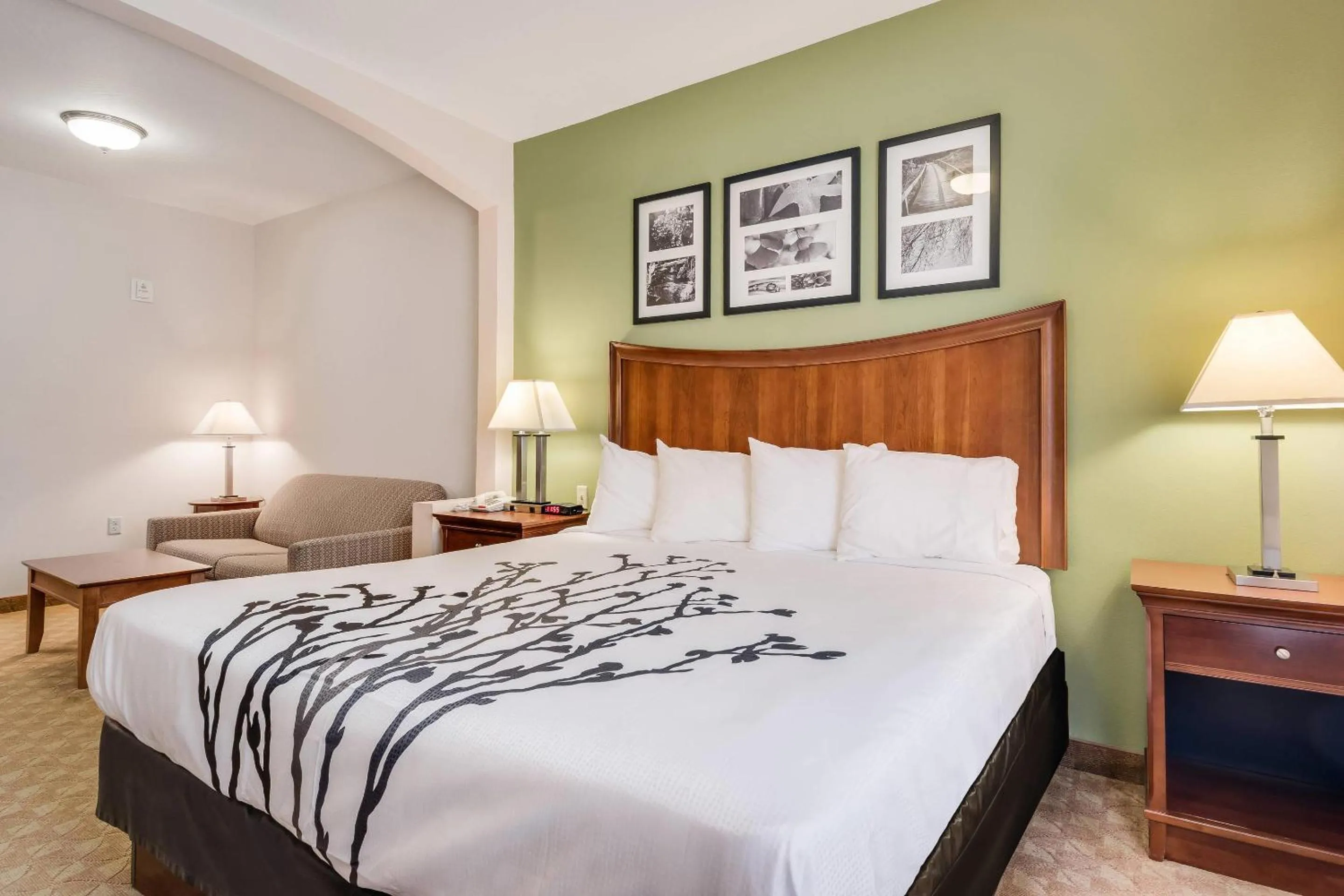 Bedroom, Bed in Sleep Inn & Suites Gettysburg