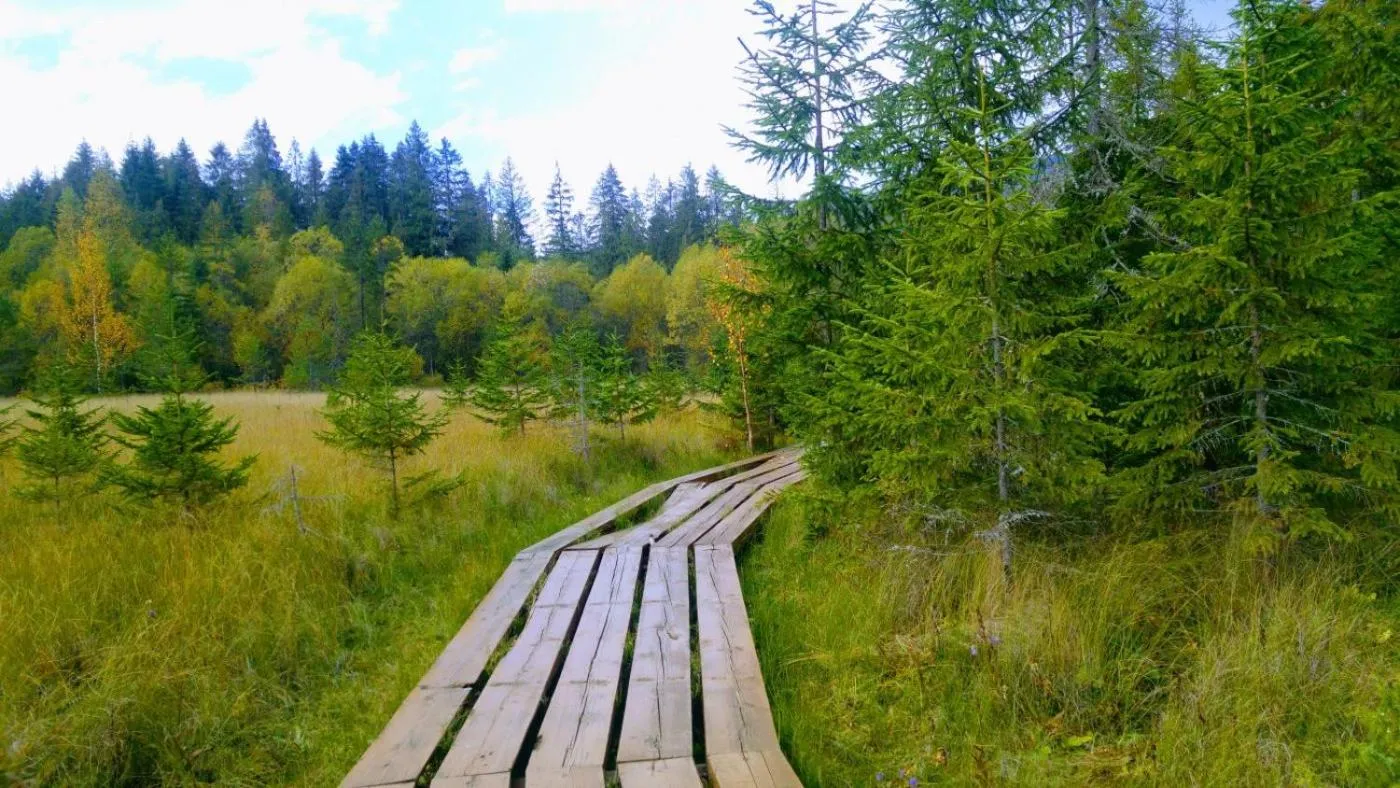 Apartmány Goral Oravice