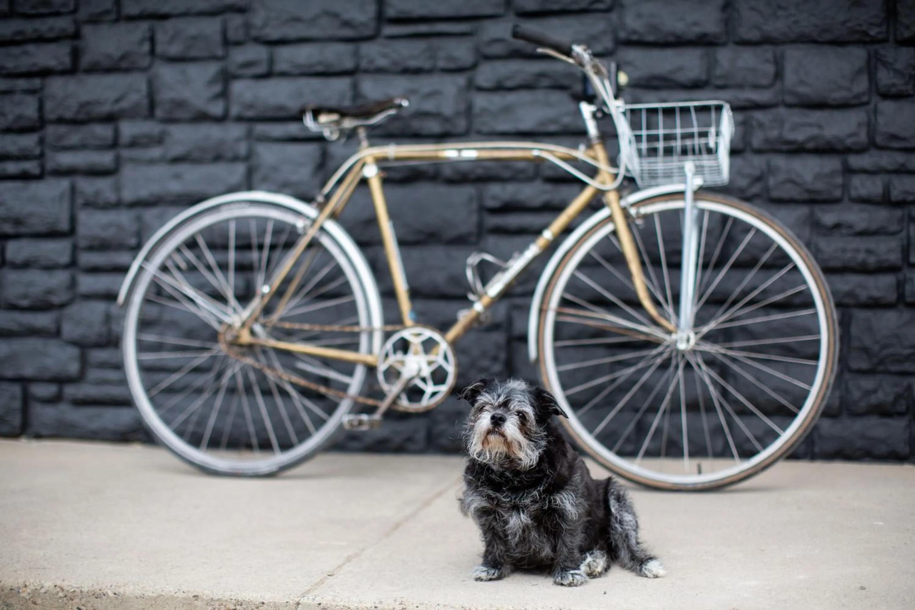 Property building in Spoke and Vine Motel