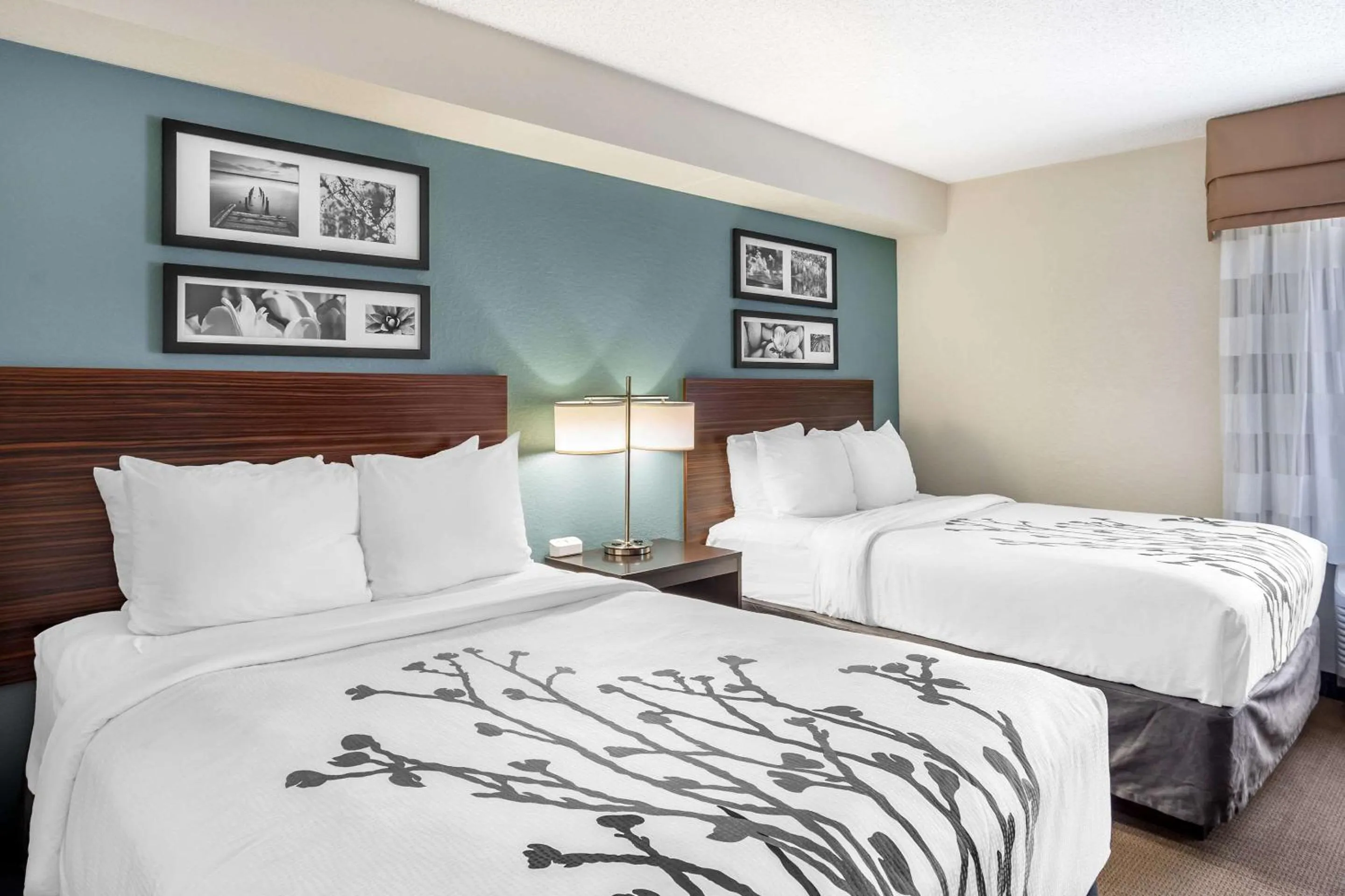 Bedroom, Bed in Sleep Inn State College near Penn State - Less than 1 Mile to PSU!