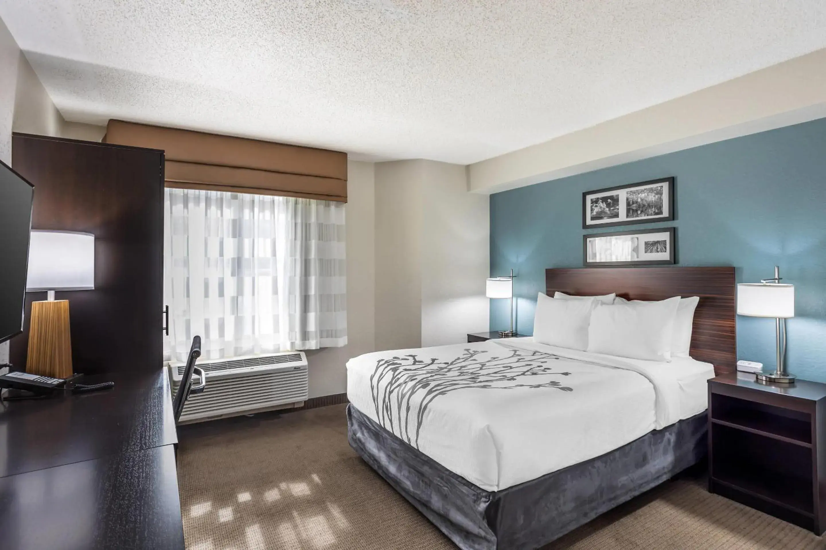 Queen Room with Tub - Accessible/Non-Smoking in Sleep Inn State College near Penn State - Less than 1 Mile to PSU! Queen Room with Tub - Accessible/Non-Smoking in Sleep Inn State College near Penn State - Less than 1 Mile to PSU!