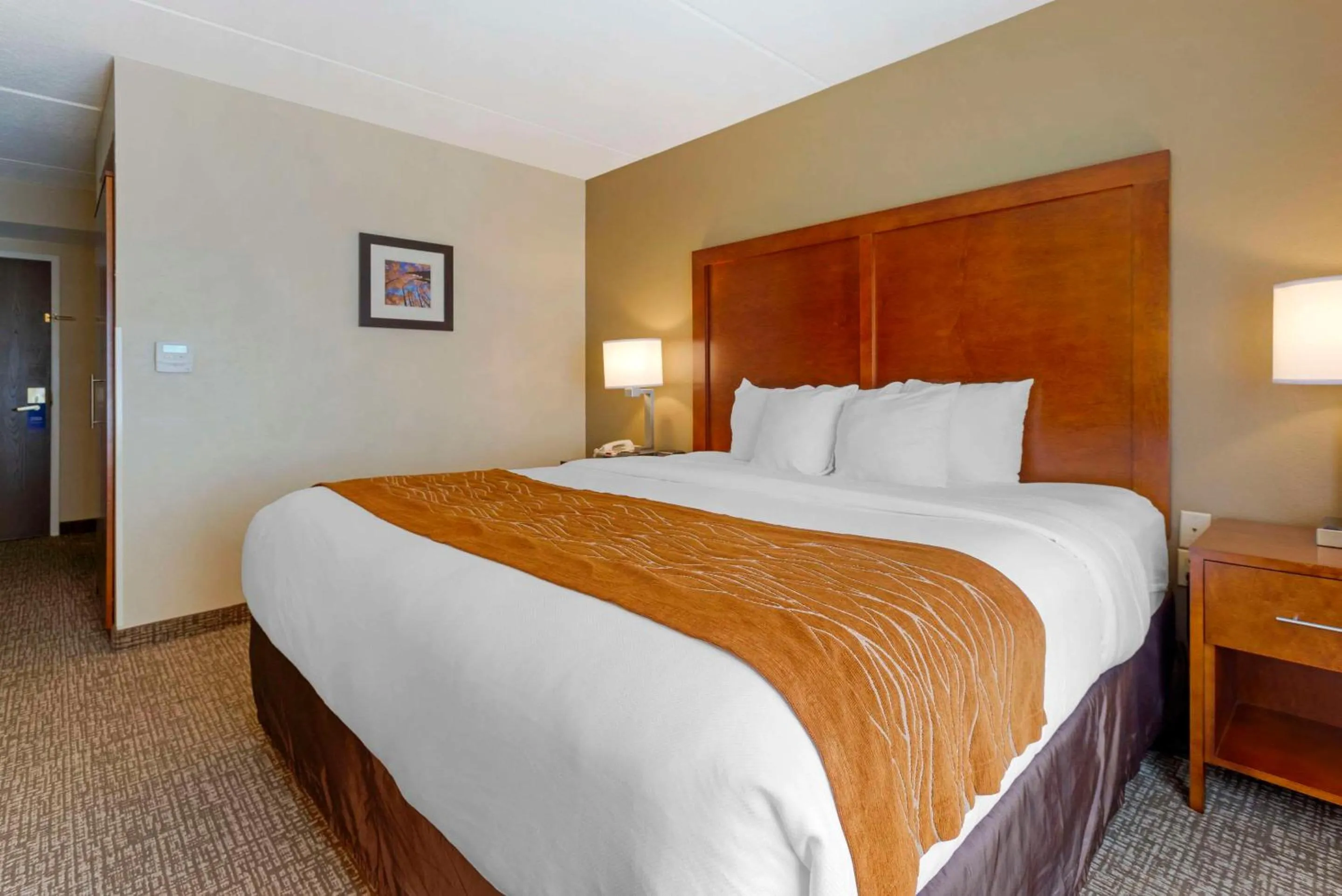 Bedroom, Bed in Comfort Inn & Suites Wilkes Barre - Arena