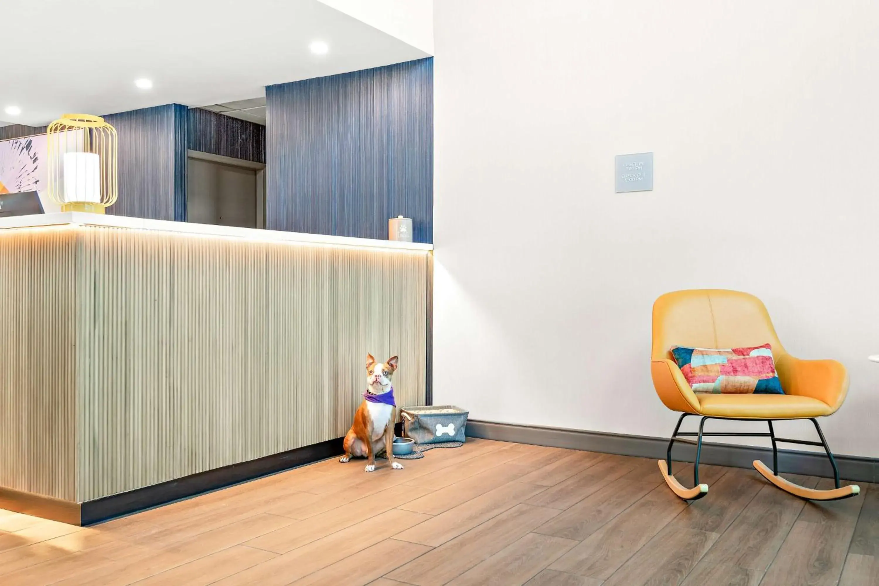 Lobby or reception in Spark By Hilton Exton Lobby or reception in Spark By Hilton Exton