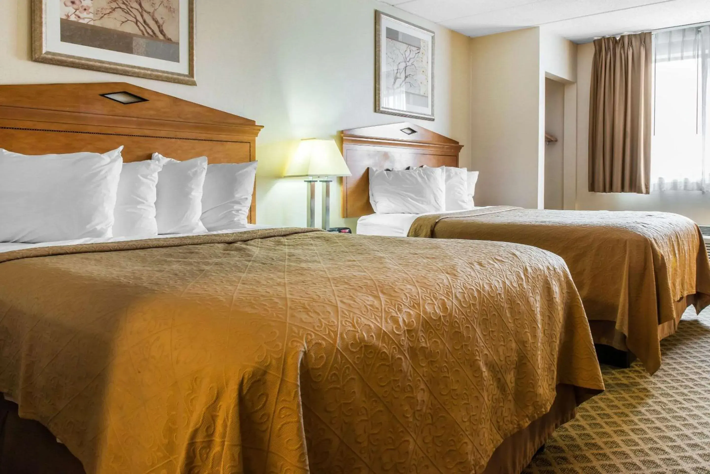 Photo of the whole room, Bed in Quality Inn & Suites Photo of the whole room, Bed in Quality Inn & Suites