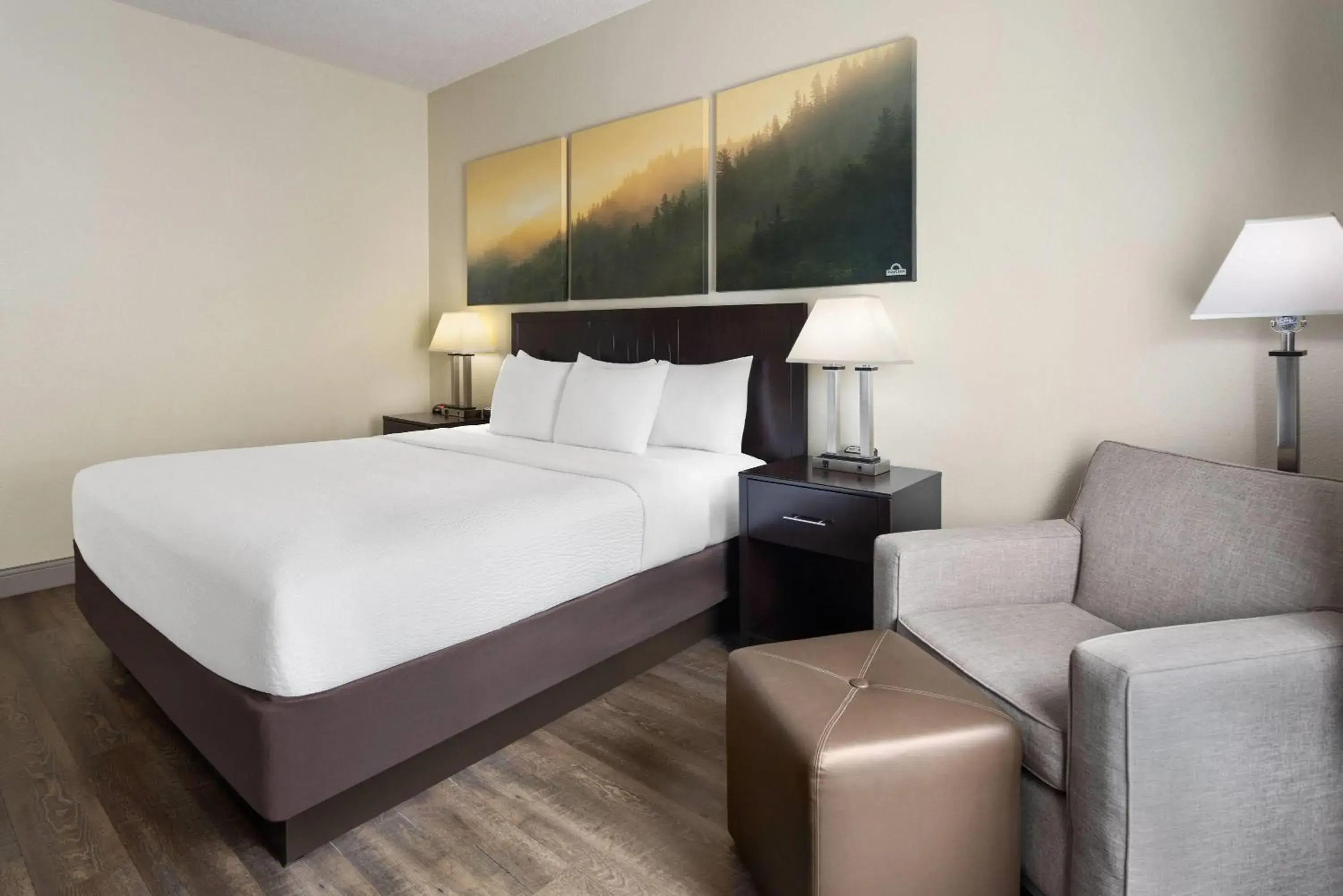 Photo of the whole room, Bed in Days Inn by Wyndham Penn State Photo of the whole room, Bed in Days Inn by Wyndham Penn State