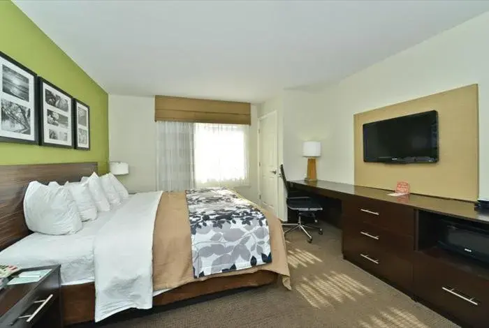 King Room - Non-Smoking in Sleep Inn & Suites Harrisburg - Hershey North King Room - Non-Smoking in Sleep Inn & Suites Harrisburg - Hershey North