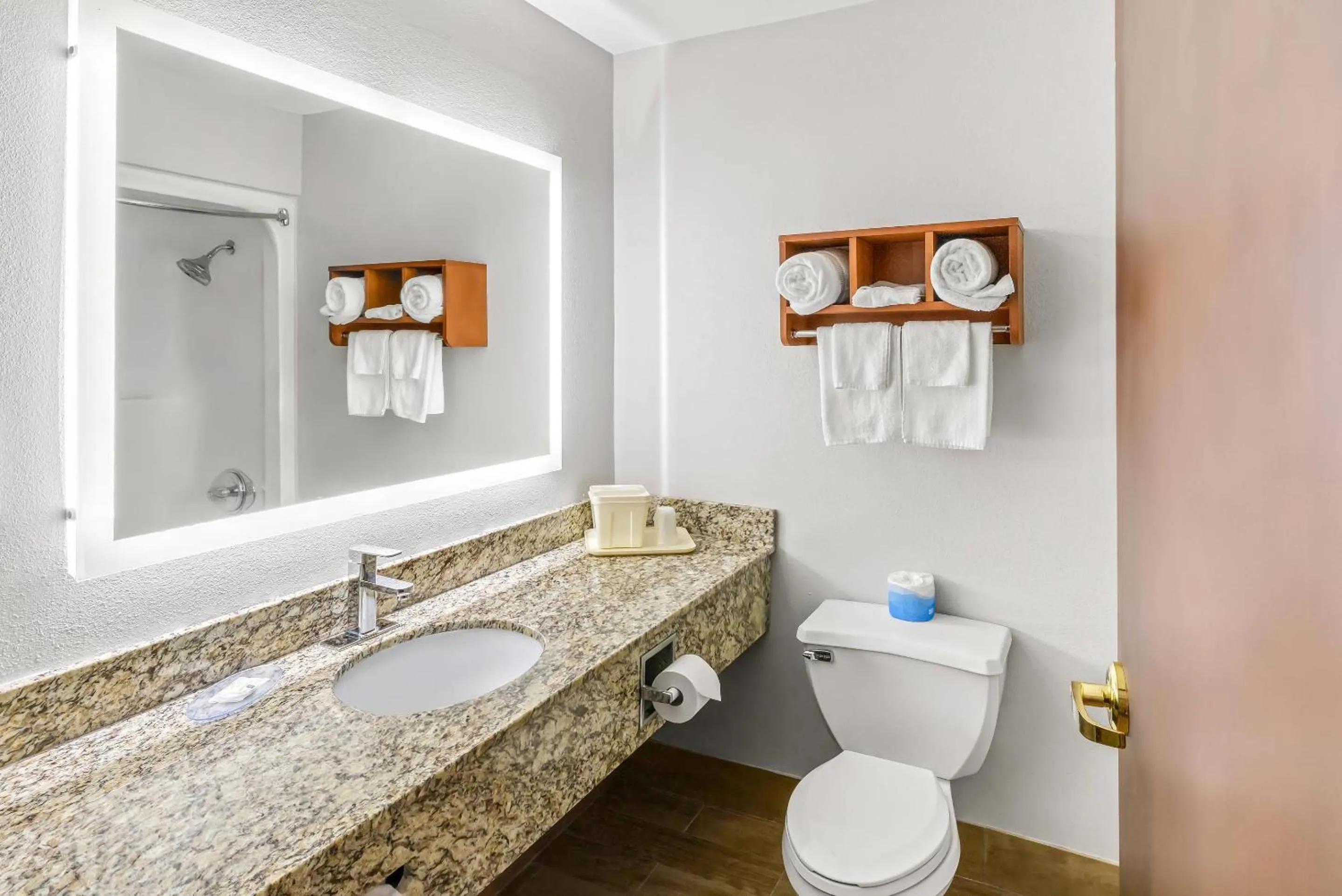 Bedroom in Quality Inn & Suites Richburg I-77