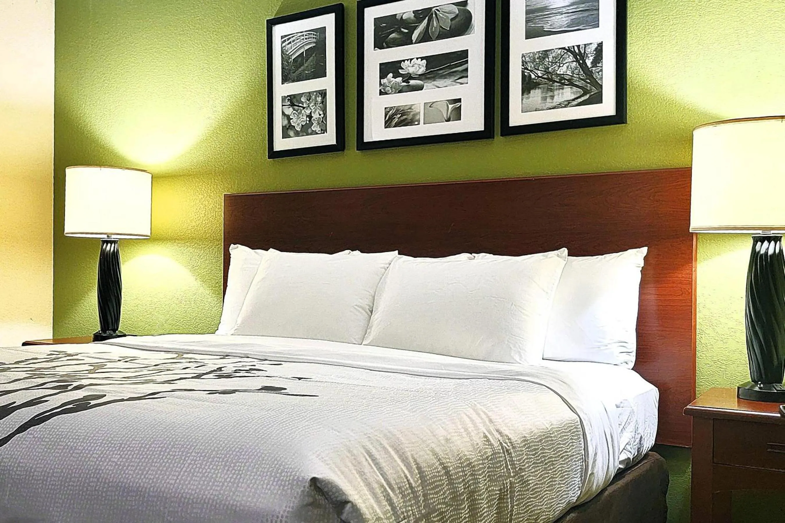 Bedroom, Bed in Sleep Inn Near Ft Jackson