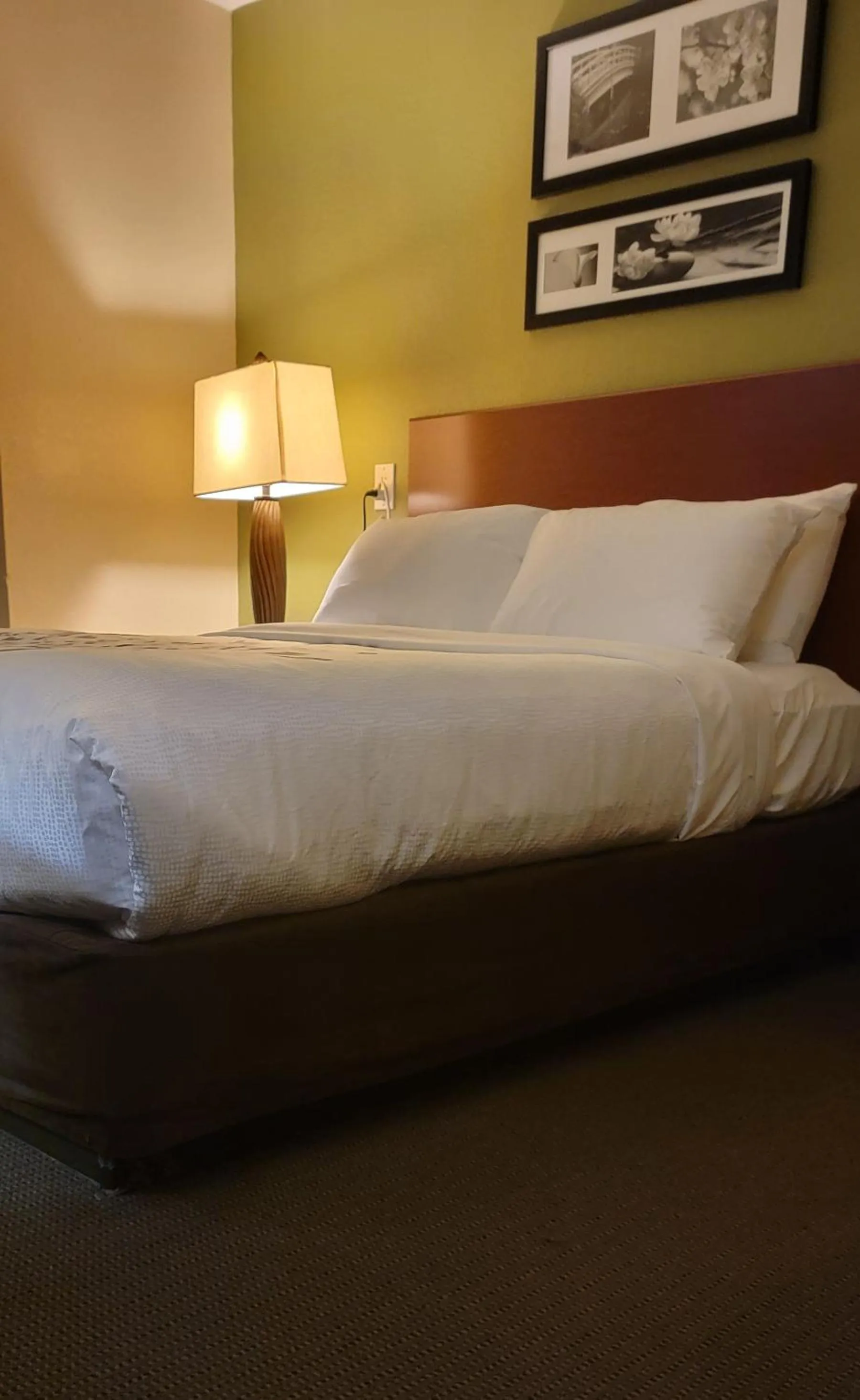 Bed in Sleep Inn Near Ft Jackson