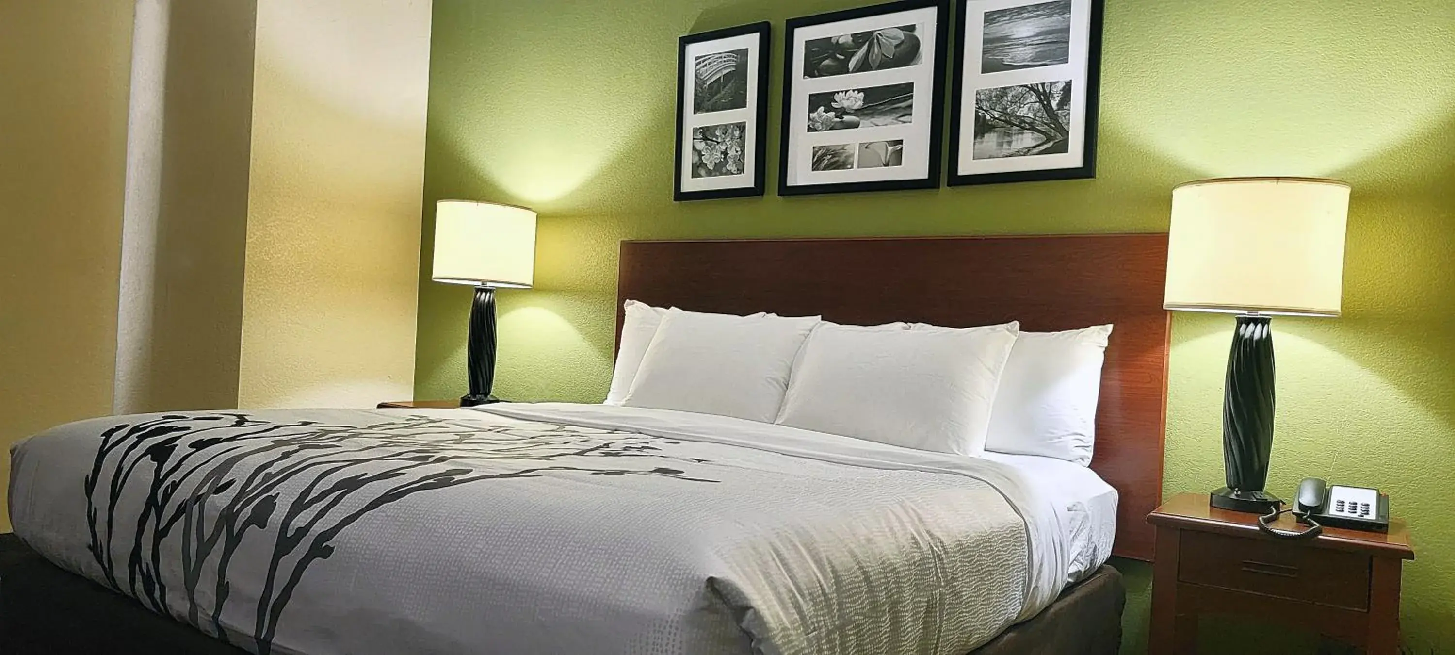 Bed in Sleep Inn Near Ft Jackson Bed in Sleep Inn Near Ft Jackson