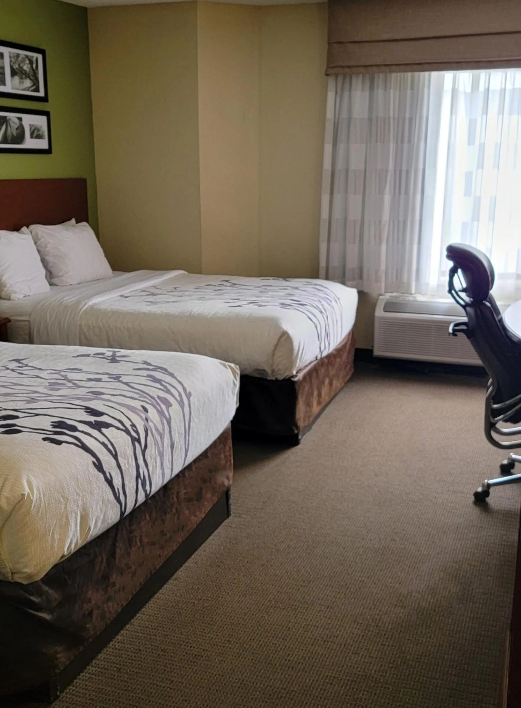 Bedroom, Bed in Sleep Inn Near Ft Jackson