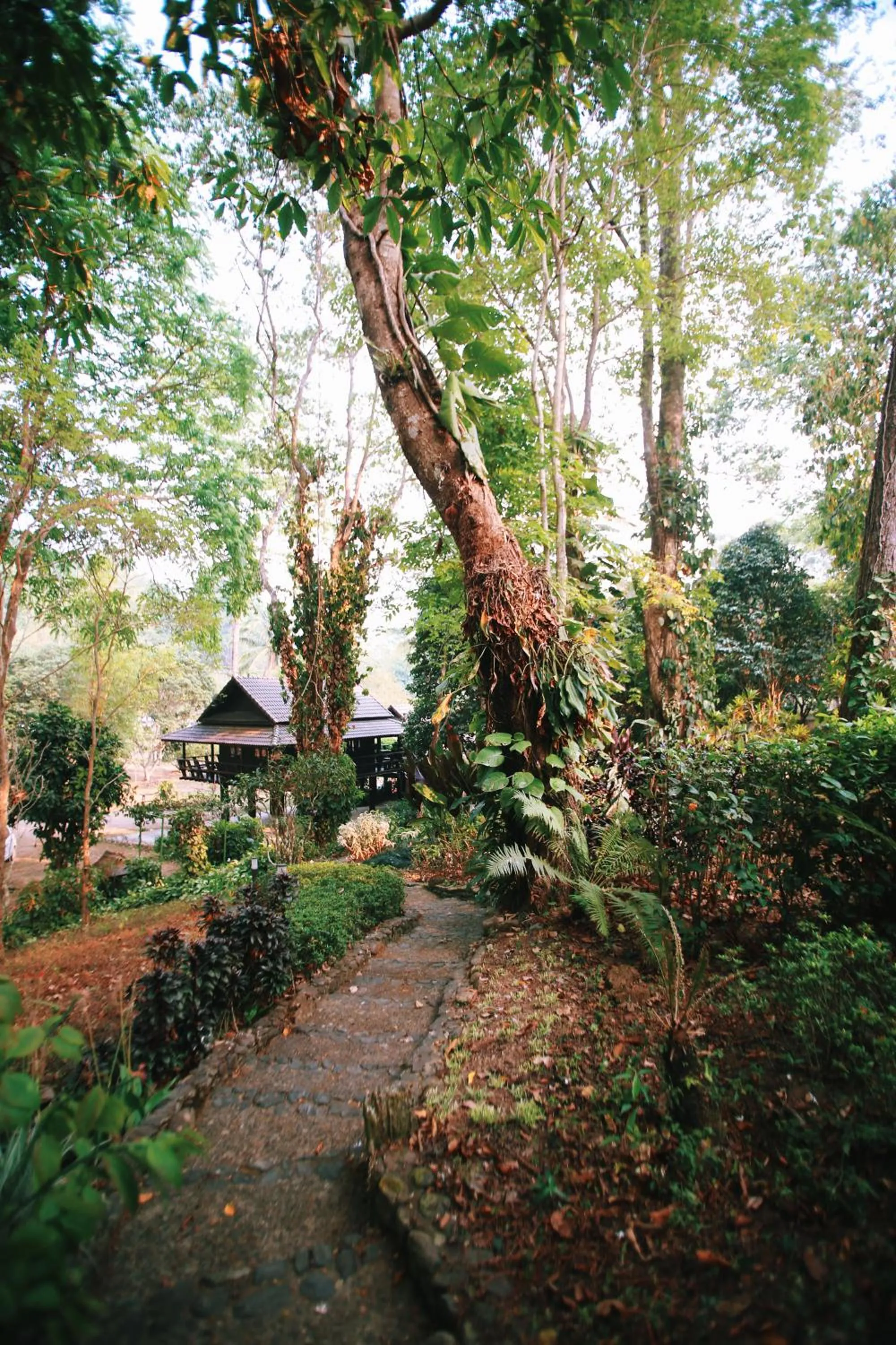 Property building in Villa Darakorn Hill Country House