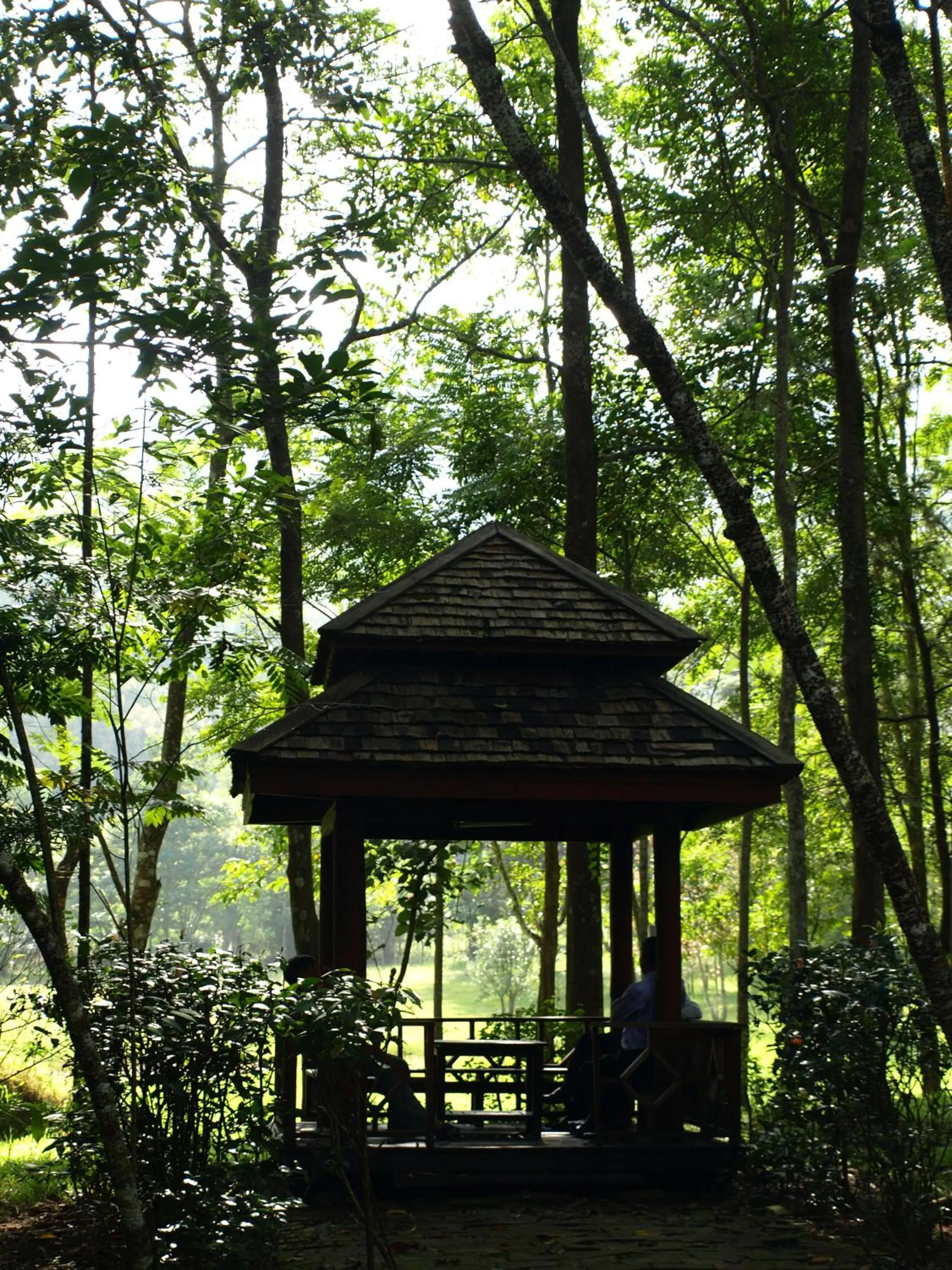 Garden in Villa Darakorn Hill Country House