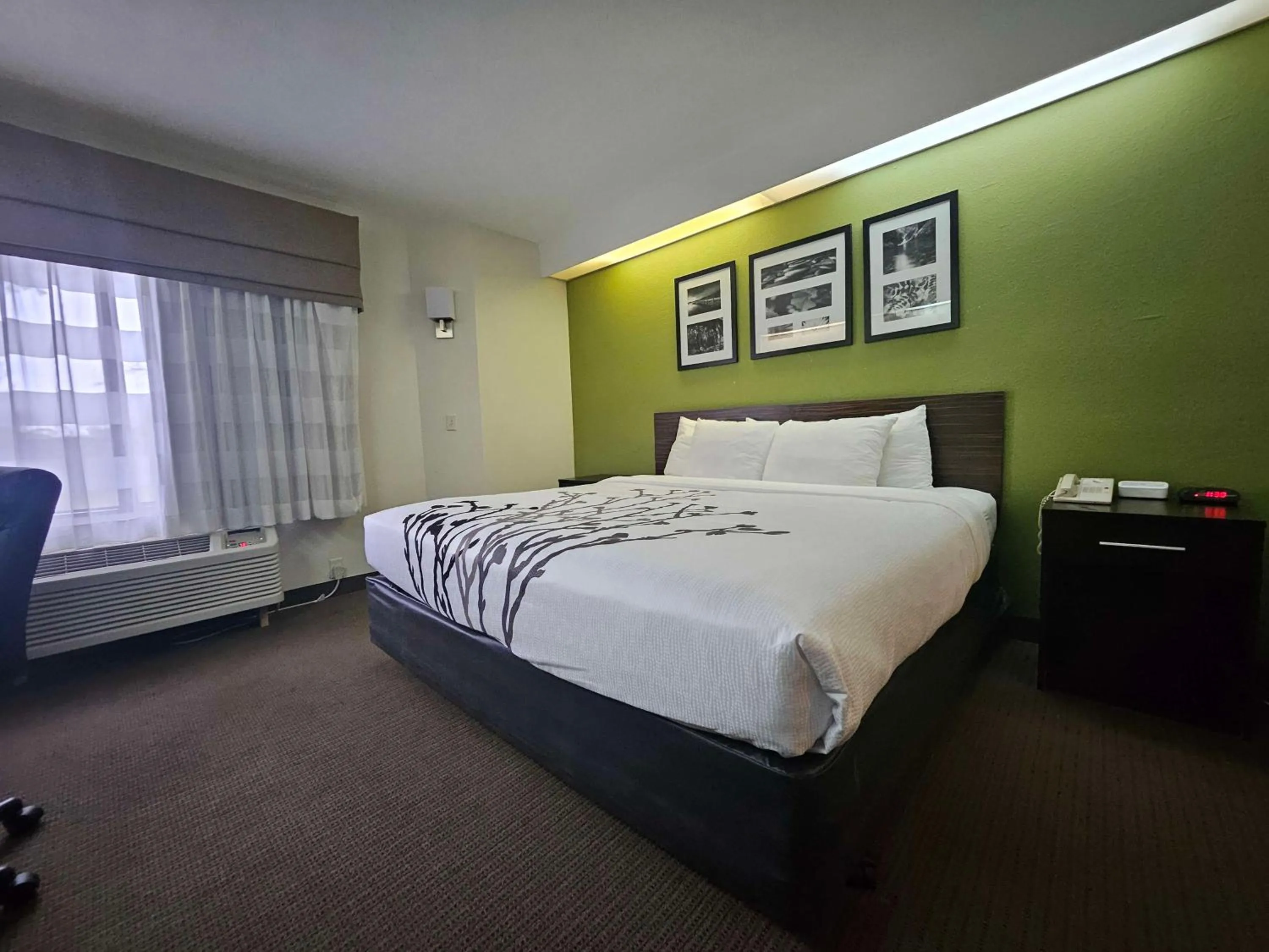 Bedroom, Bed in SureStay by Best Western Summerville Flowertown