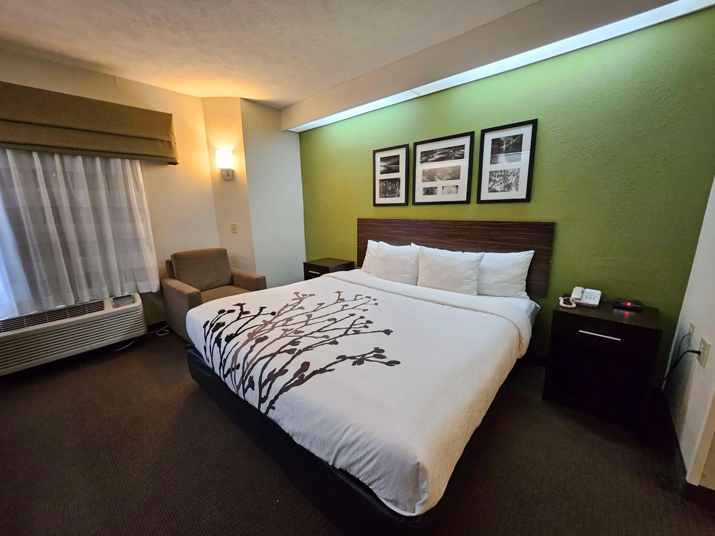 Bedroom, Bed in SureStay by Best Western Summerville Flowertown