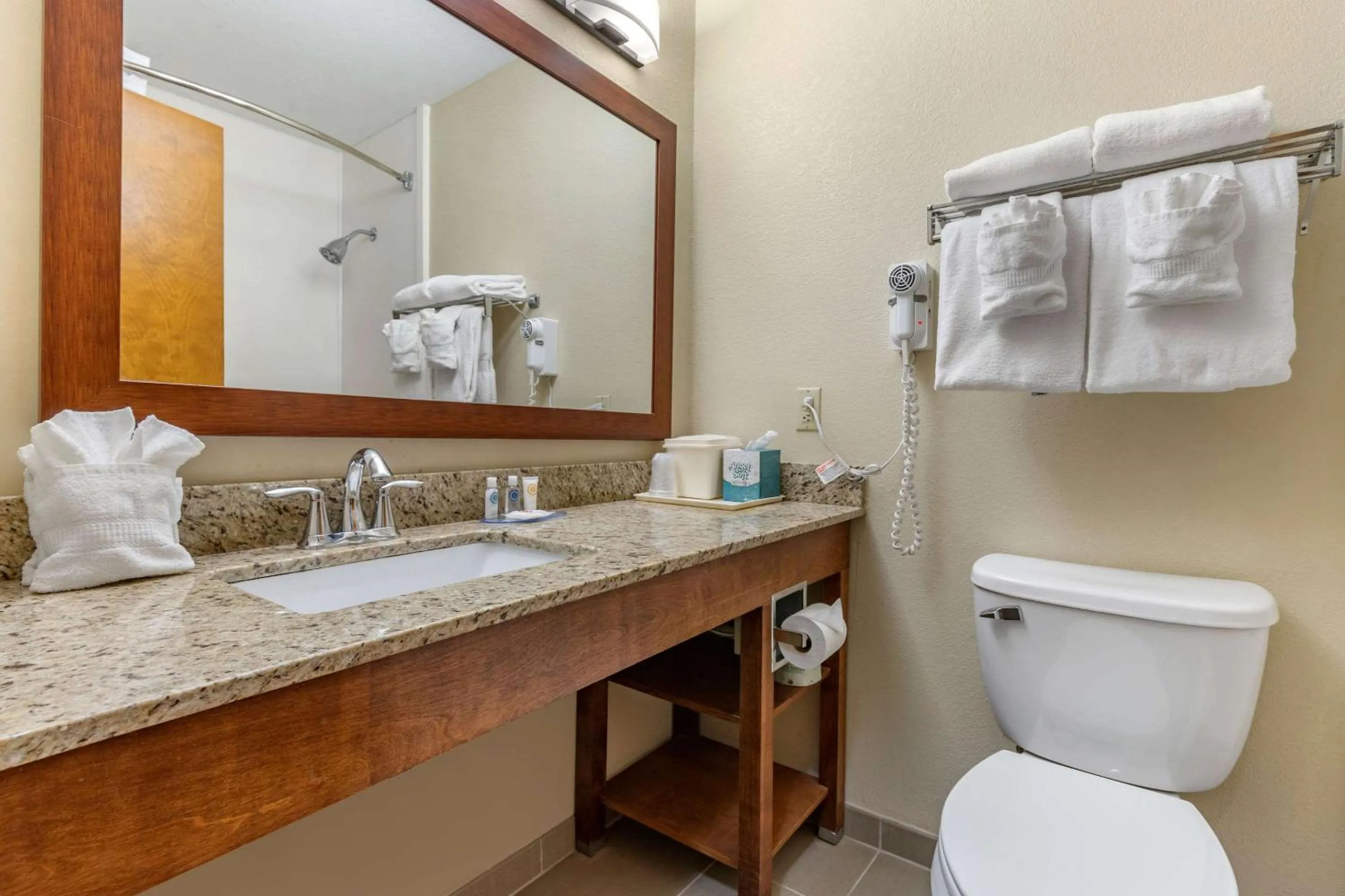 Bedroom in Comfort Inn & Suites Clemson - University Area