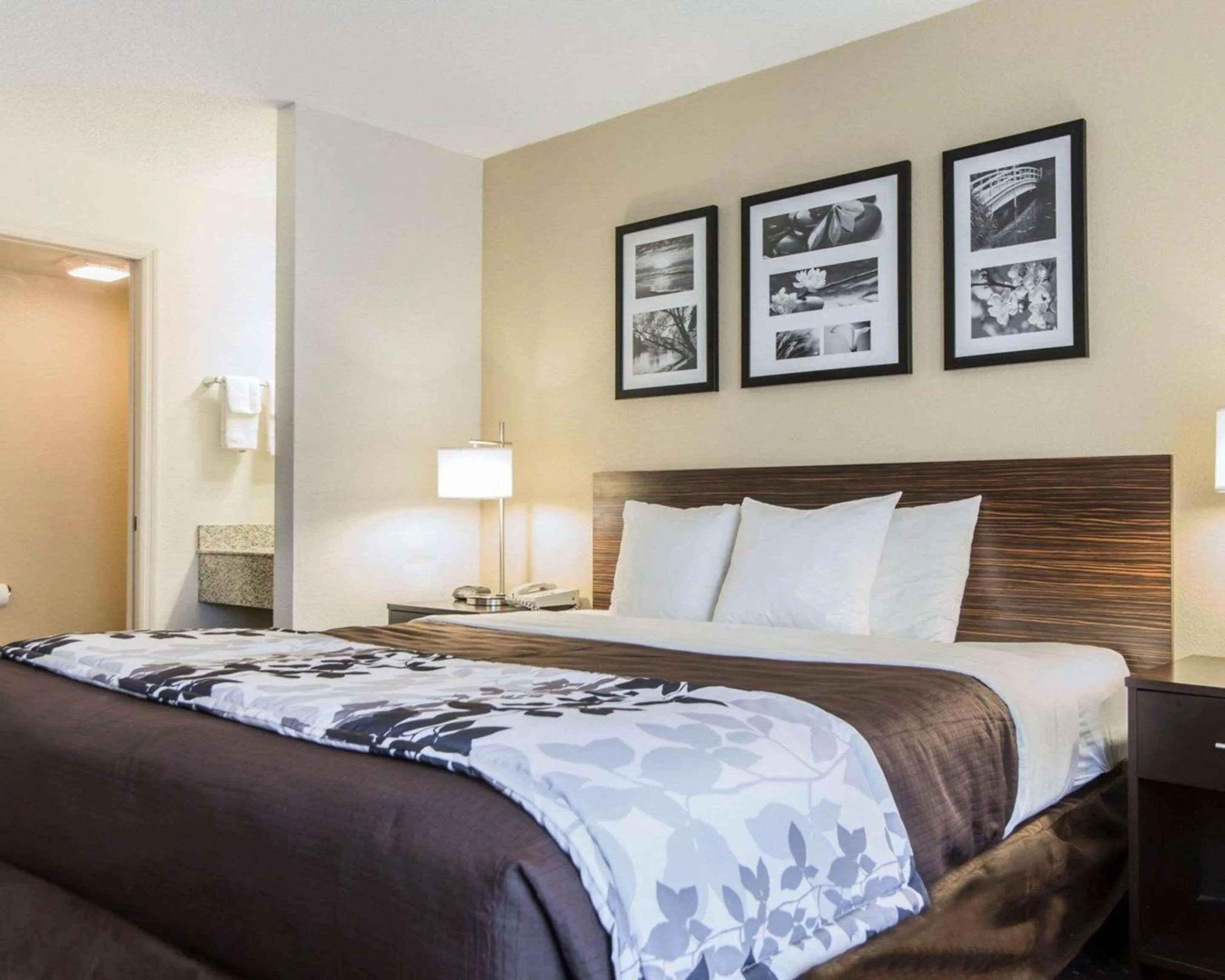 Bedroom, Bed in Sleep Inn Florence North