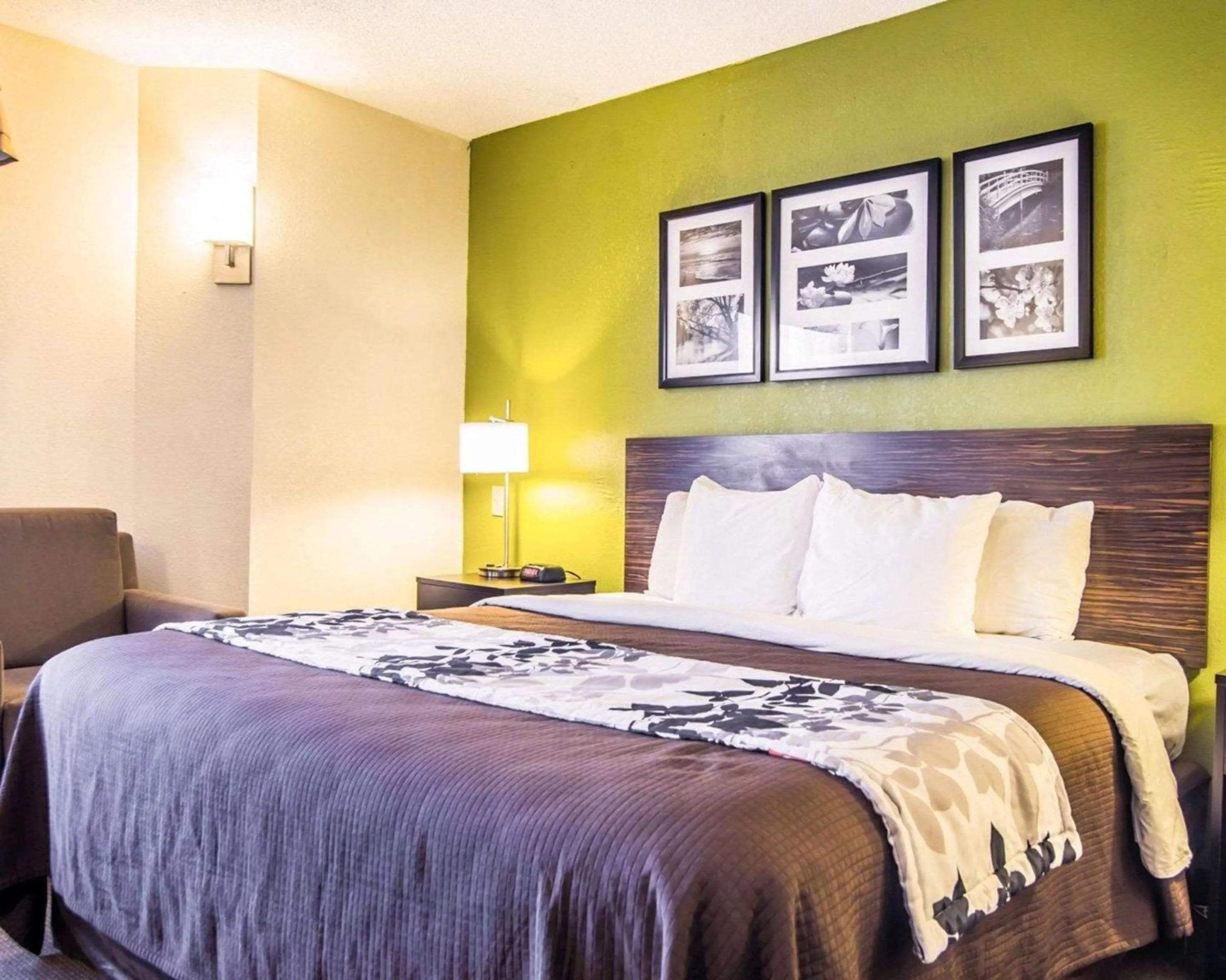 Bed in Sleep Inn Walterboro I-95