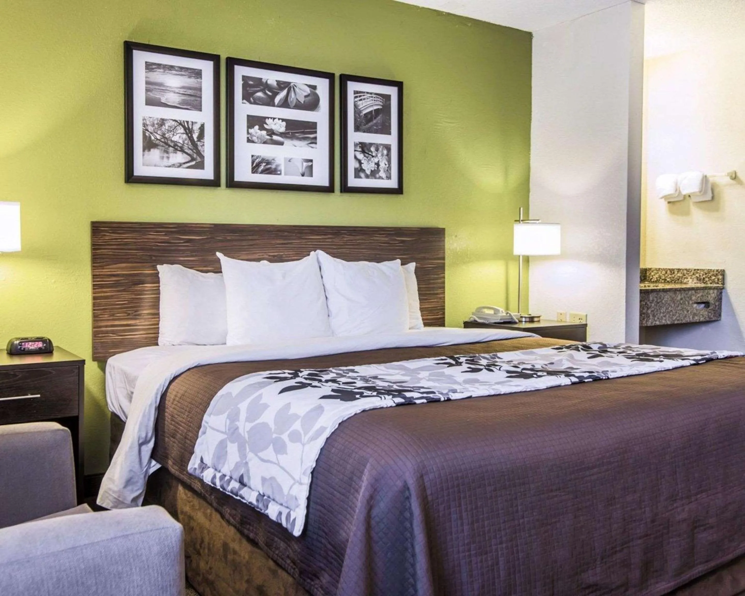 Photo of the whole room, Bed in Sleep Inn Walterboro I-95