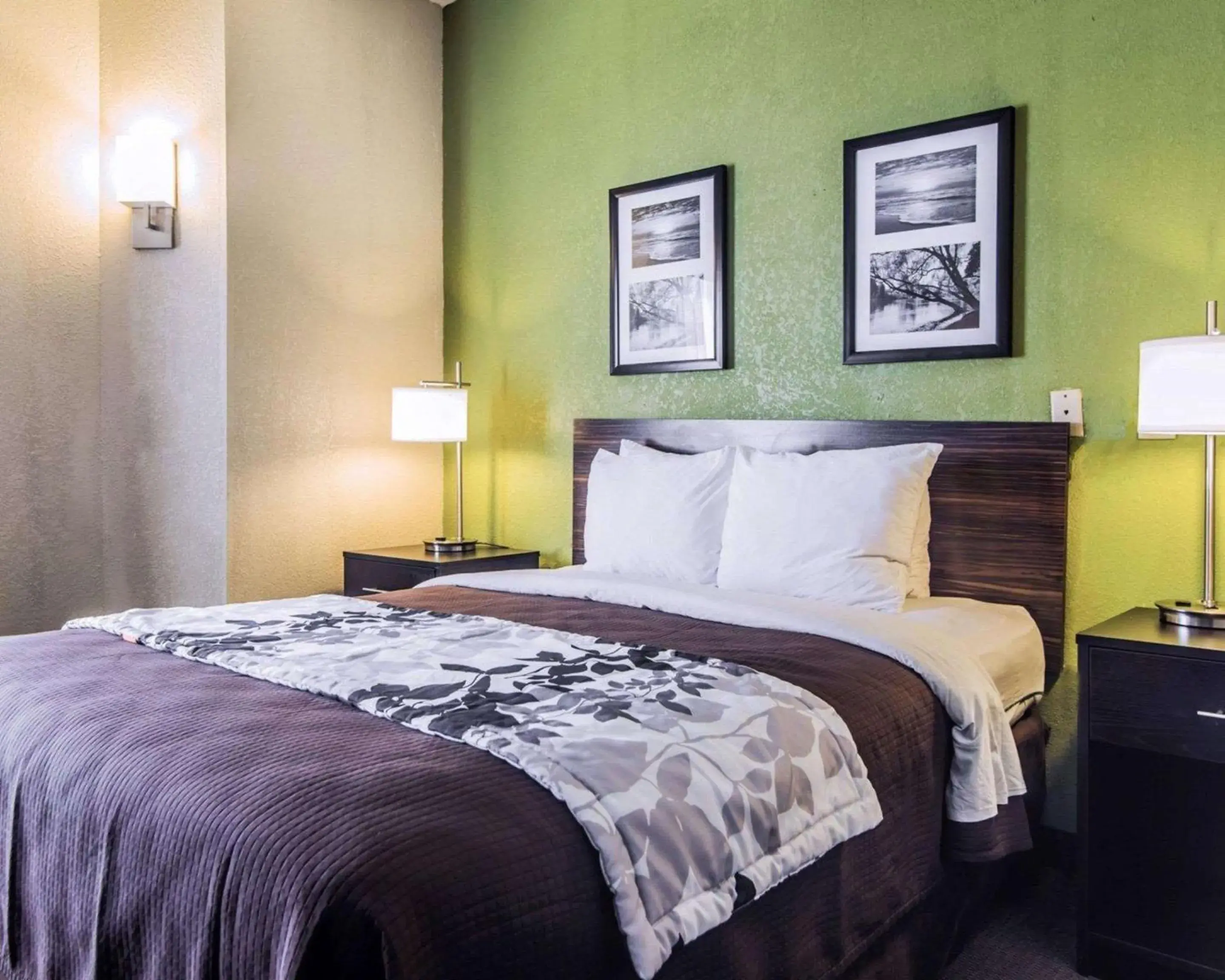 Photo of the whole room, Bed in Sleep Inn Walterboro I-95 Photo of the whole room, Bed in Sleep Inn Walterboro I-95