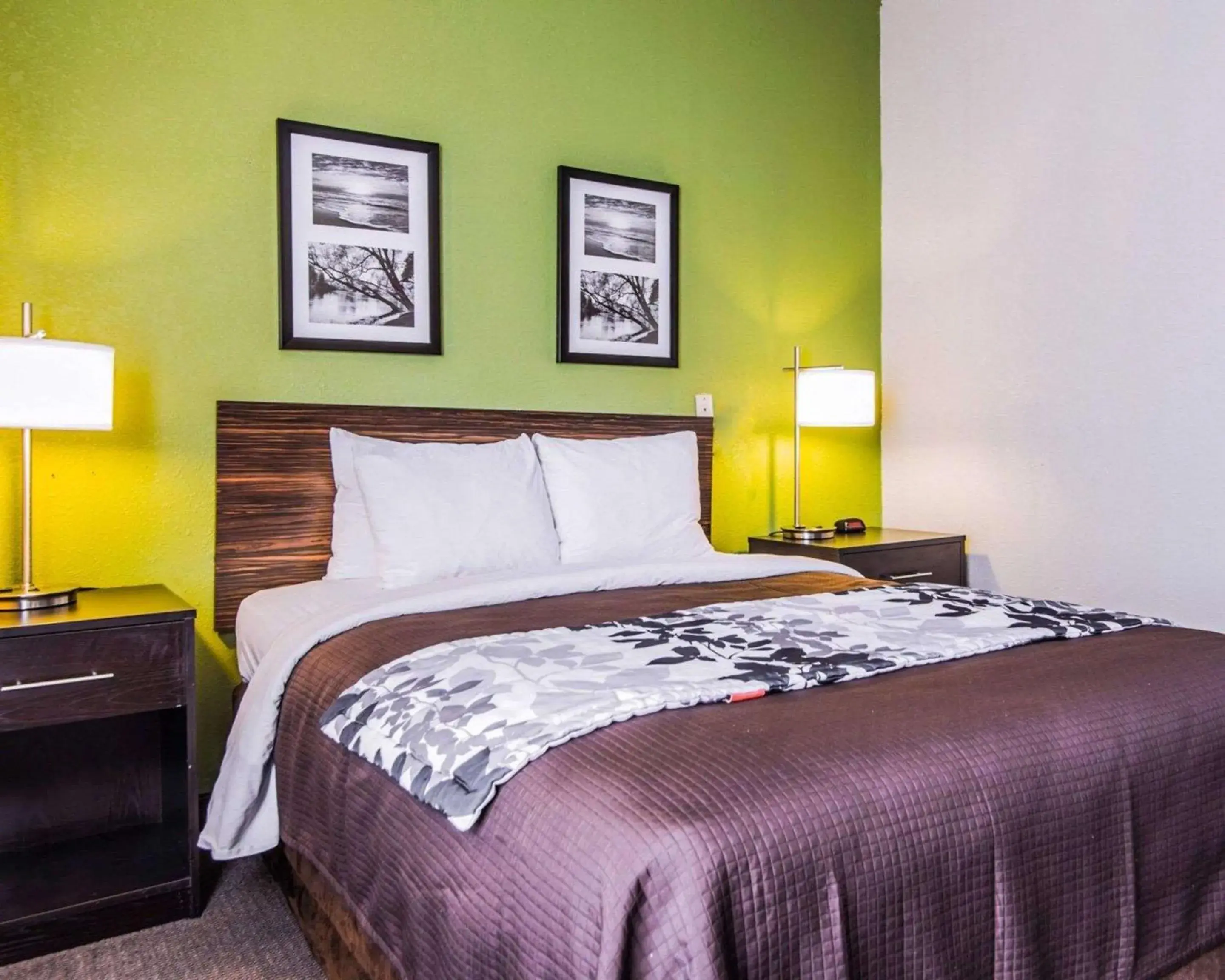 Photo of the whole room, Bed in Sleep Inn Walterboro I-95 Photo of the whole room, Bed in Sleep Inn Walterboro I-95