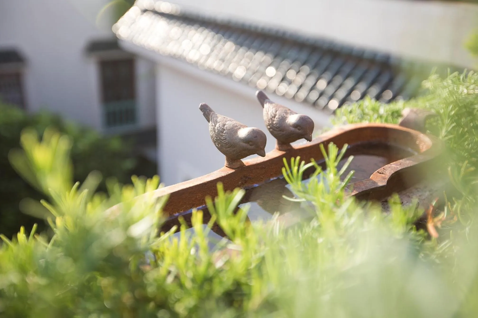 Decorative detail in Riad Villa Harmonie