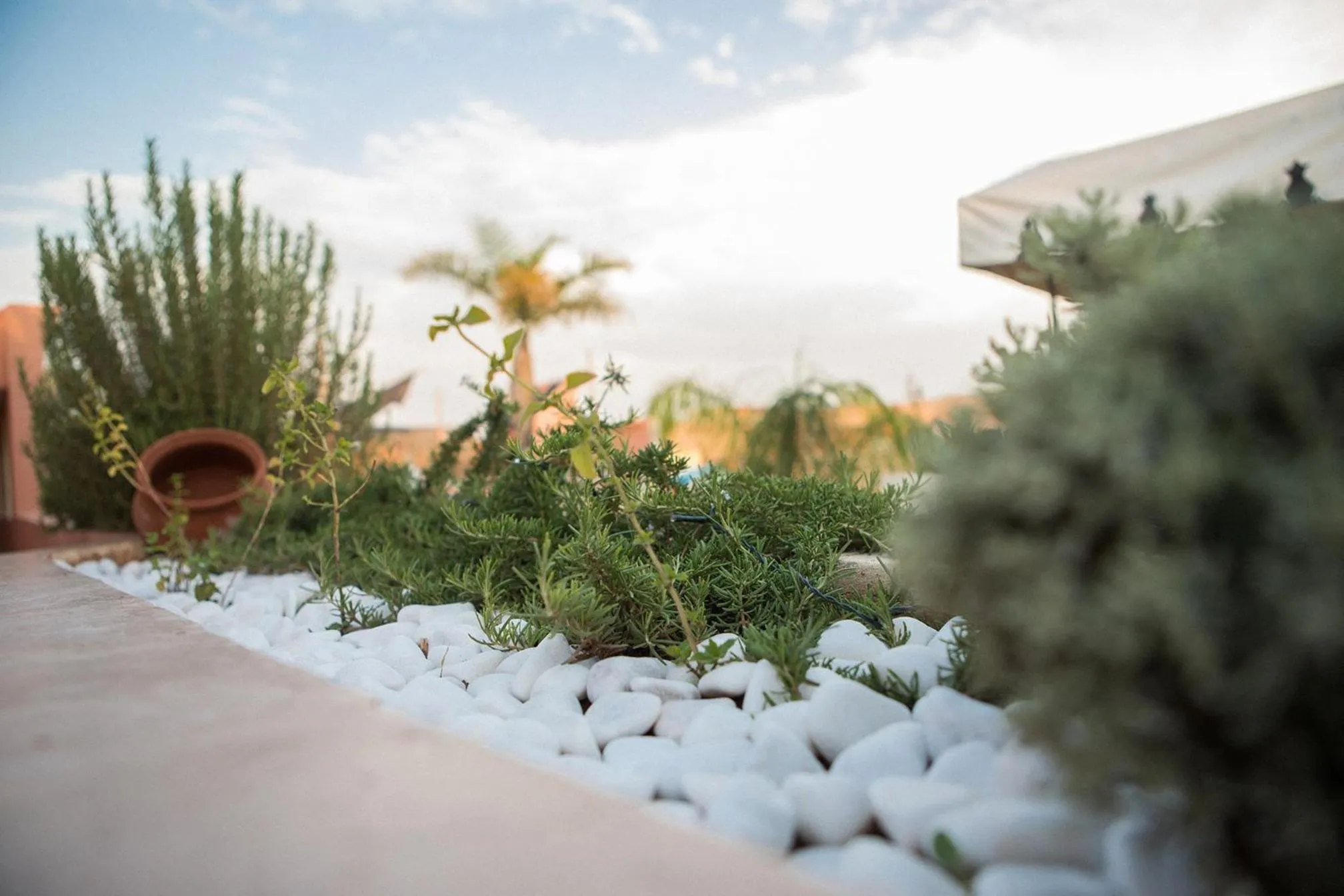 Balcony/Terrace in Riad Villa Harmonie