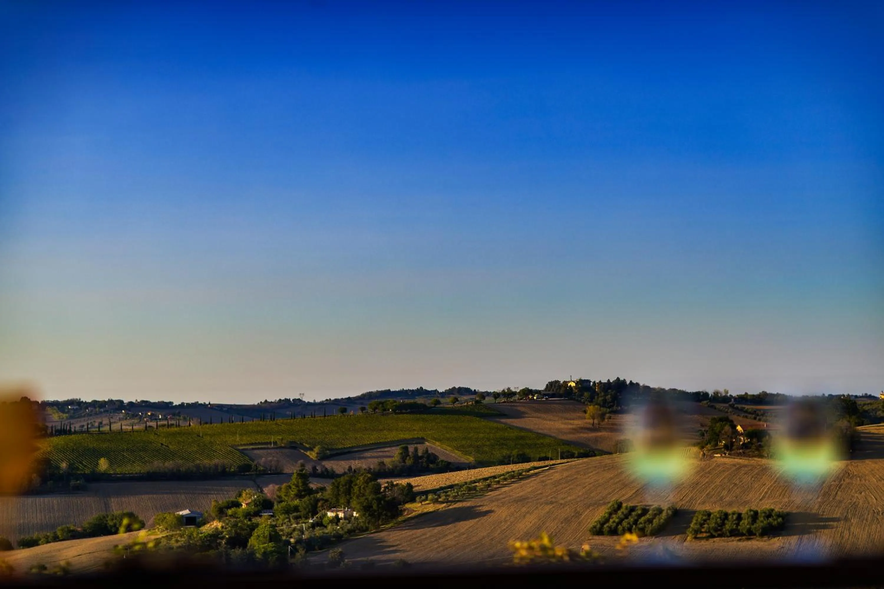 Garden in B&B Al Chicco d'Uva