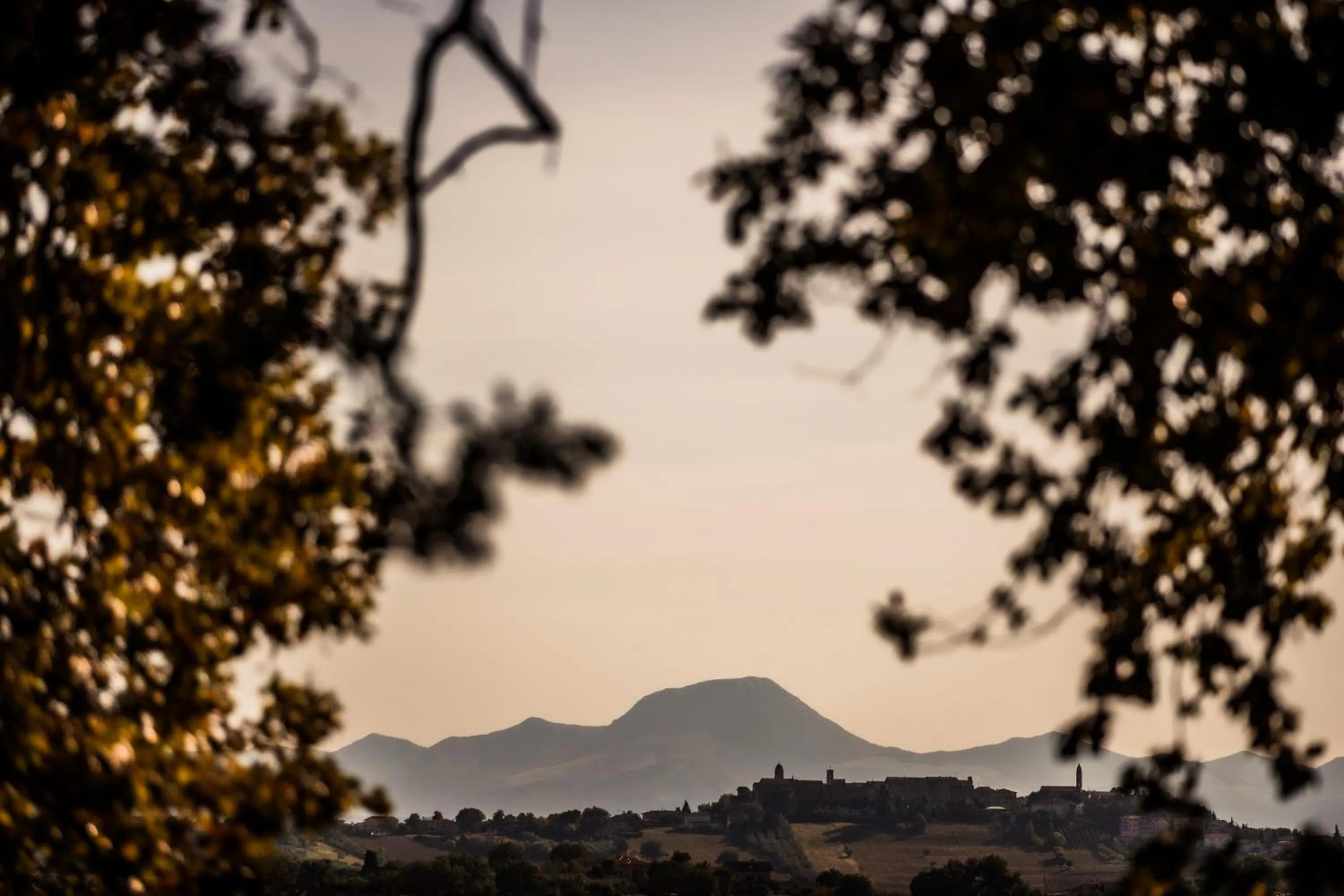 Garden view in B&B Al Chicco d'Uva