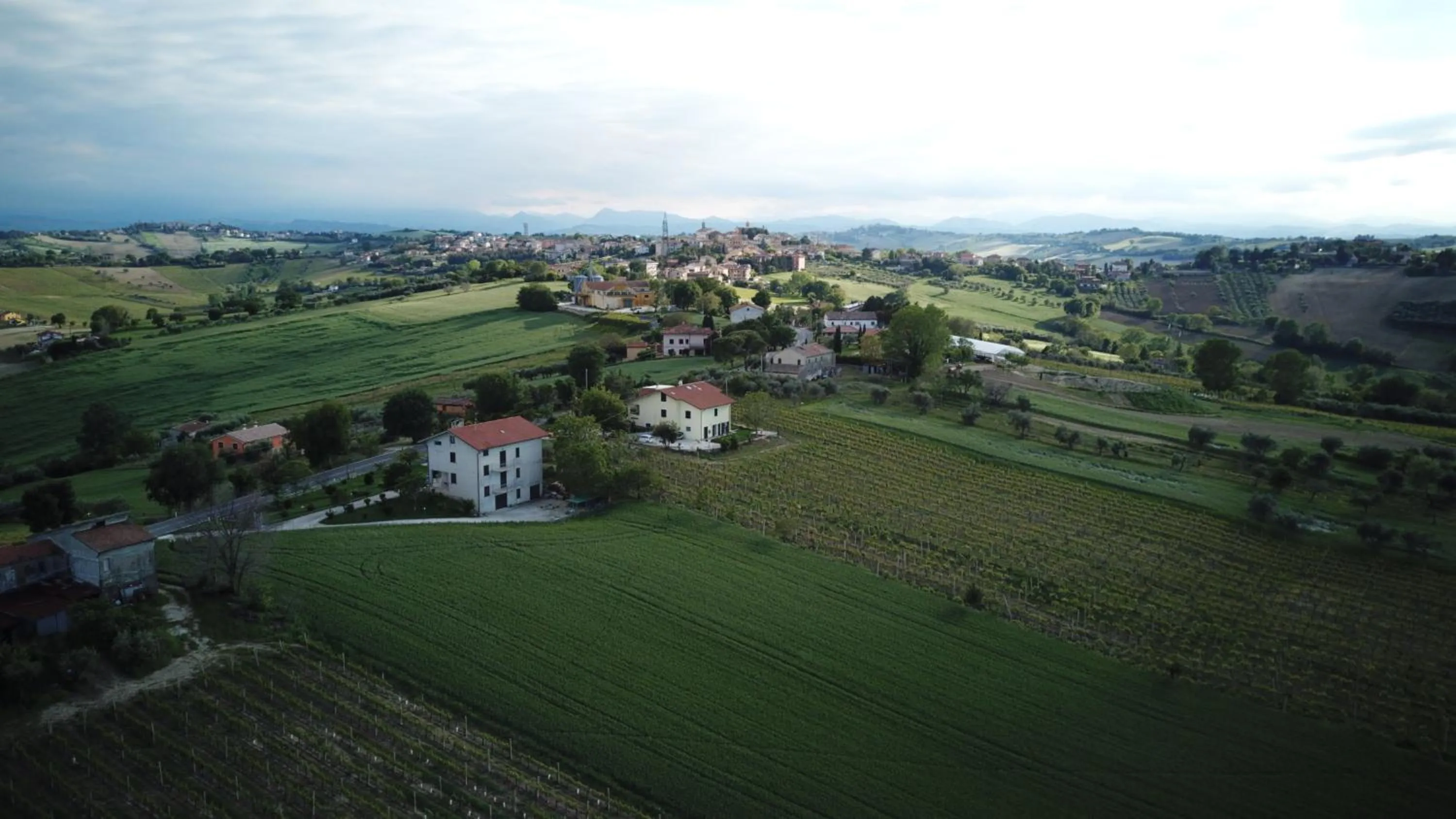 Bird's eye view in B&B Al Chicco d'Uva