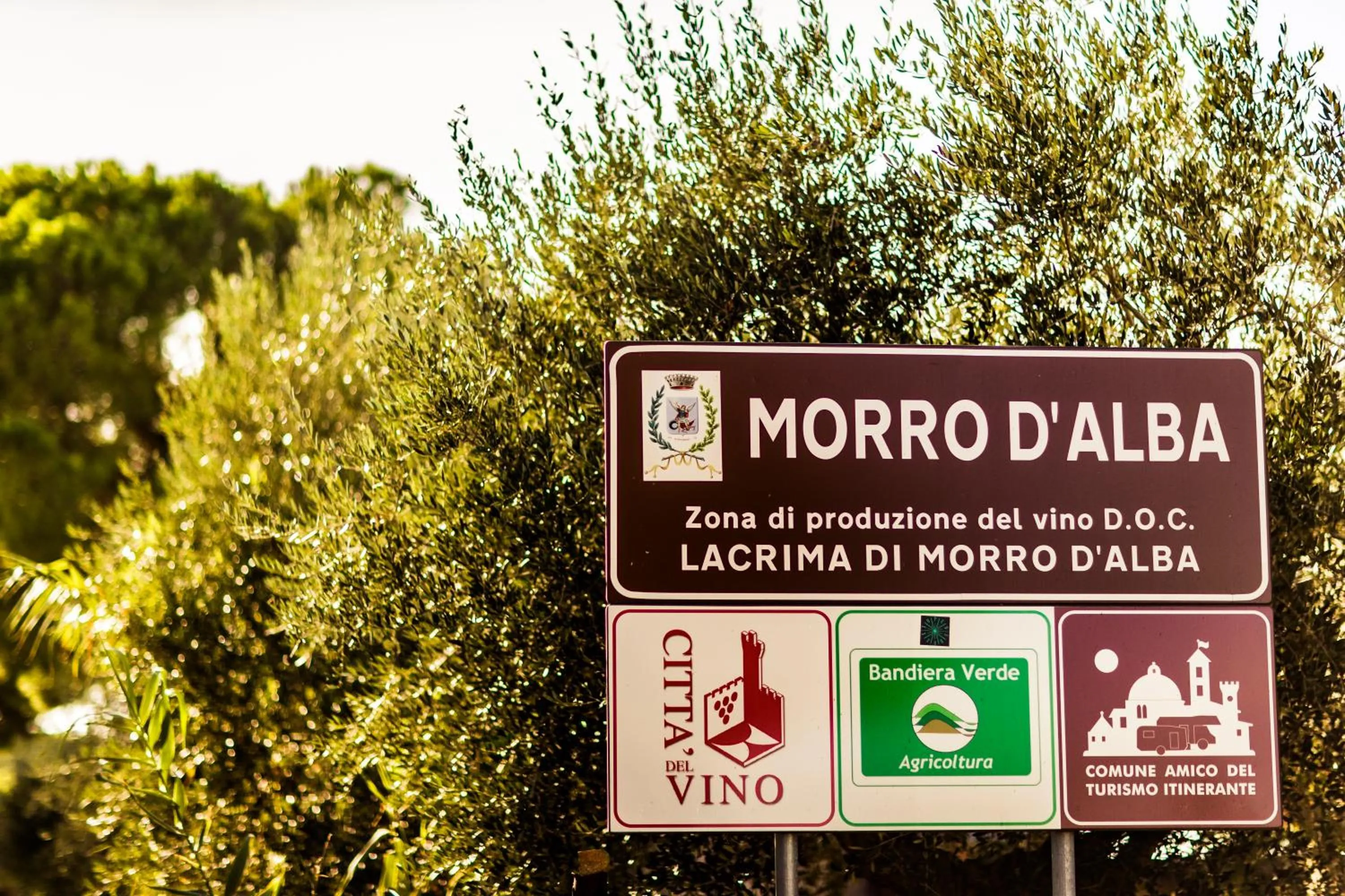 Logo/Certificate/Sign in B&B Al Chicco d'Uva