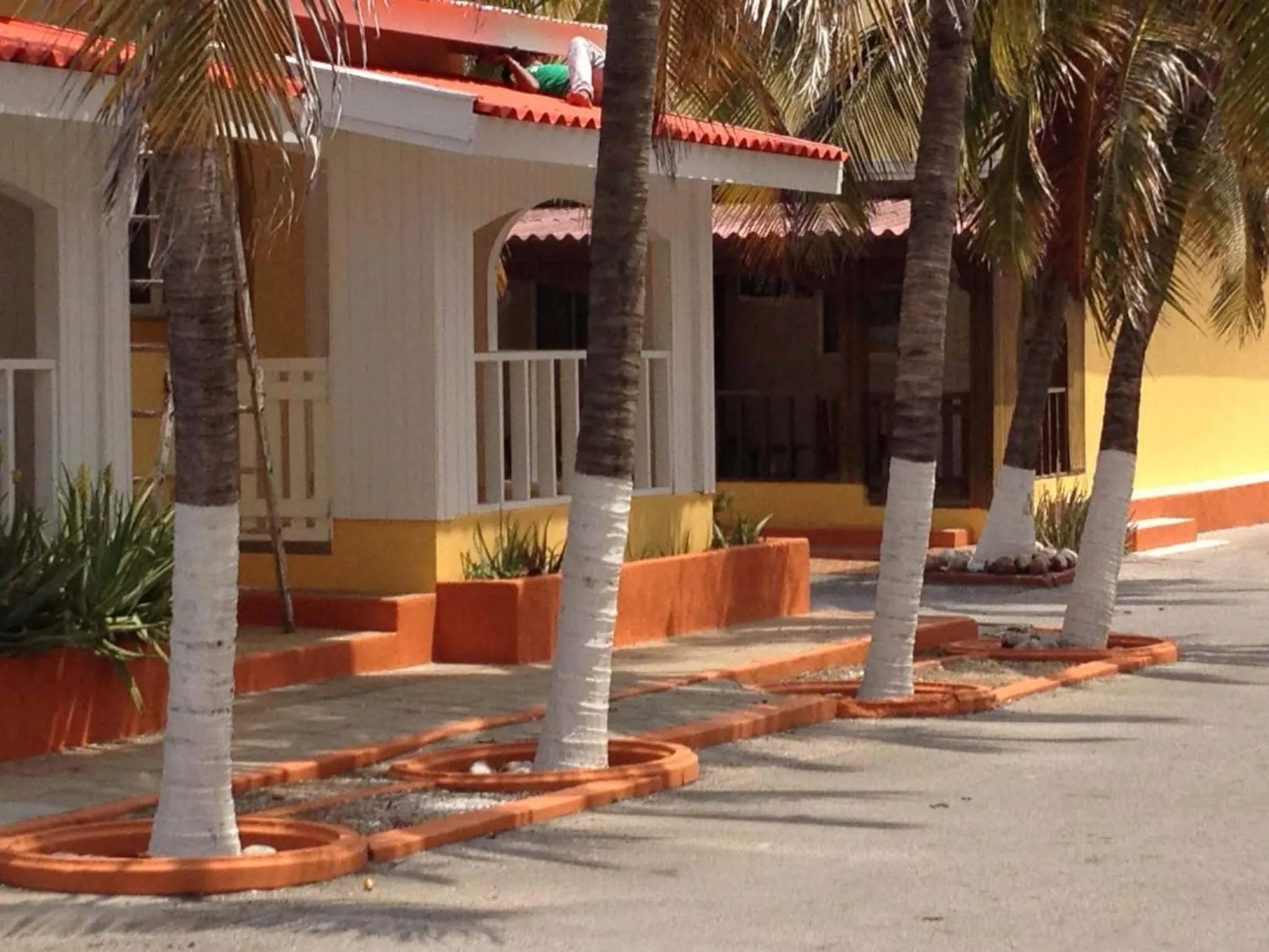 Property building in Coconut Inn