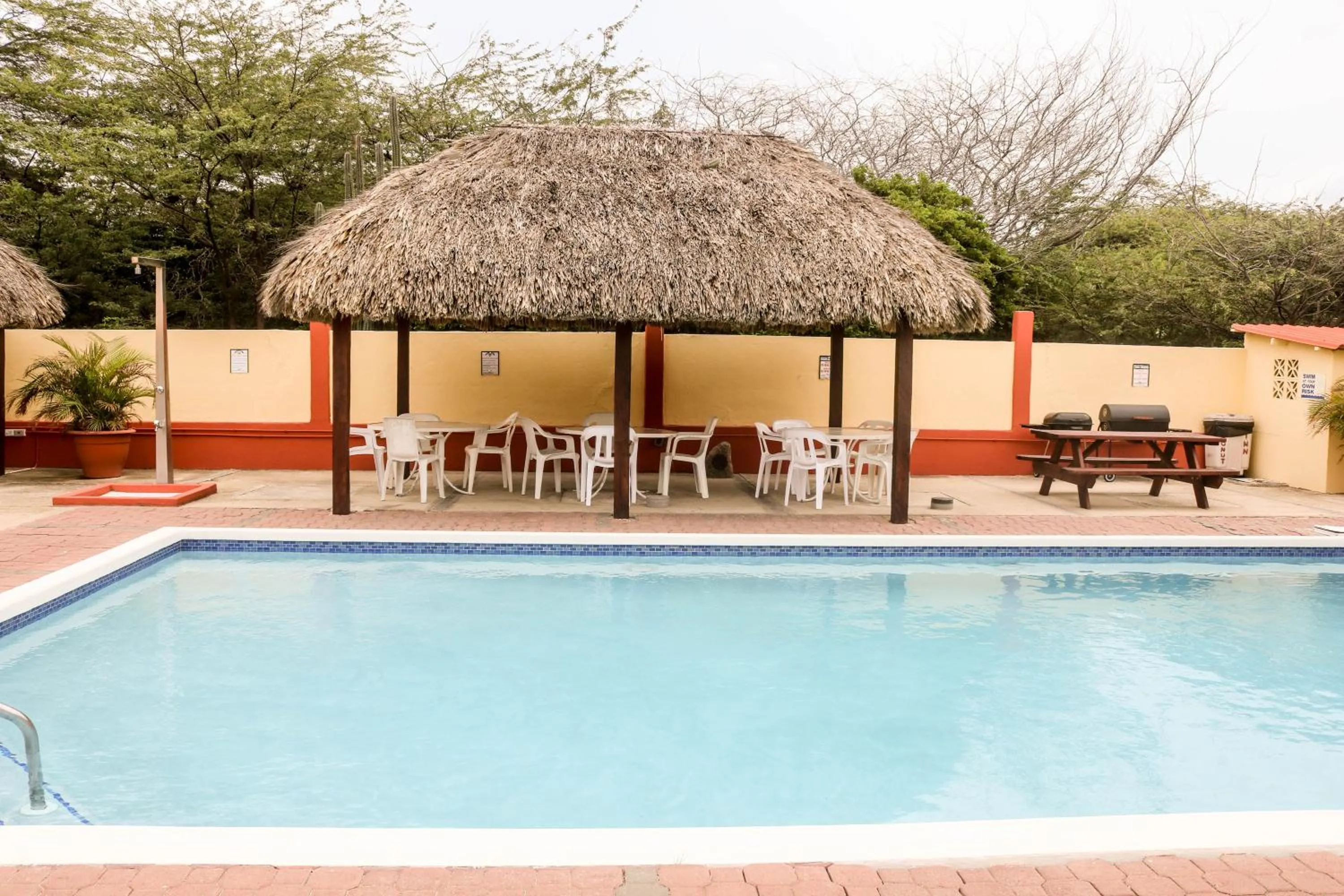 Swimming pool in Coconut Inn
