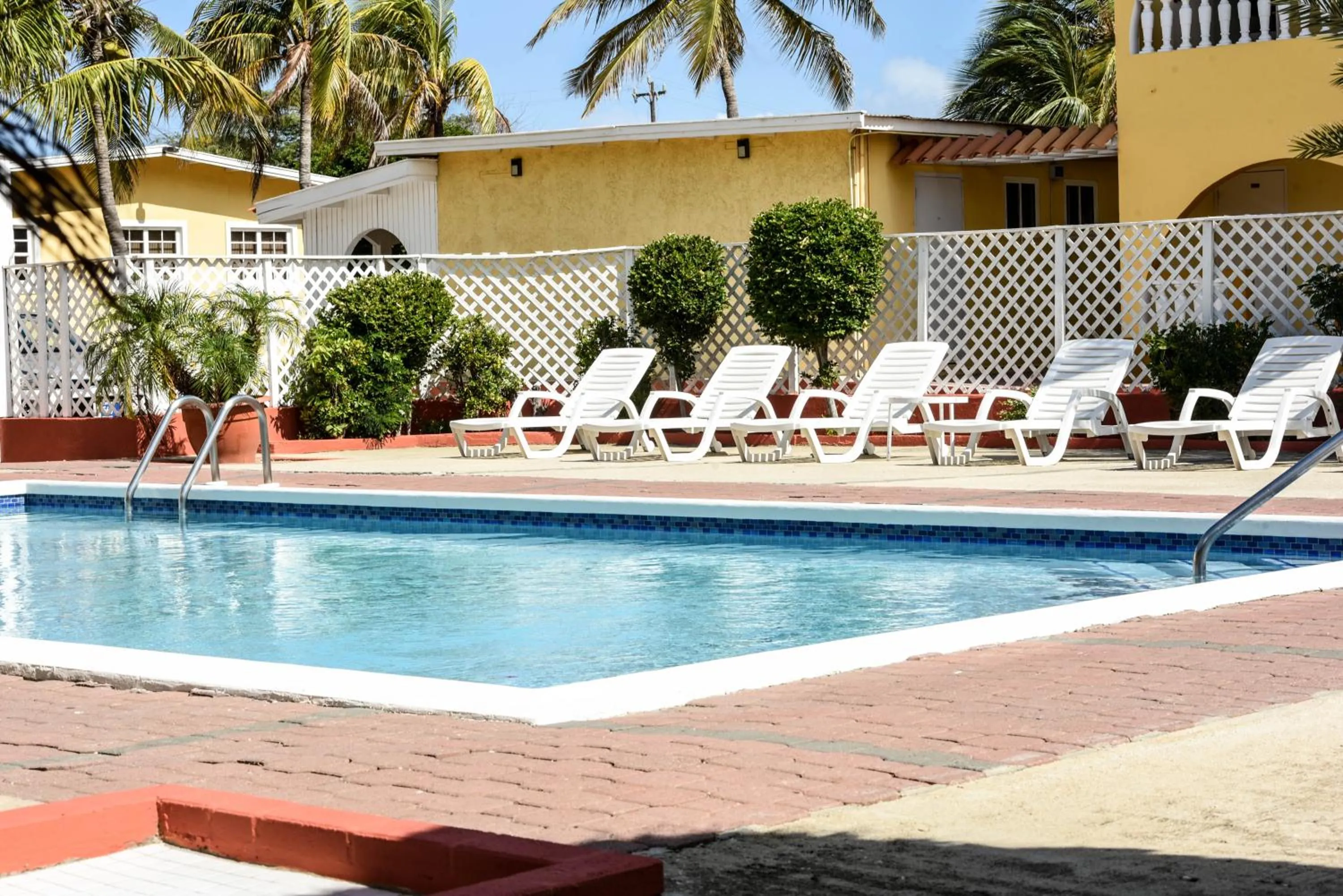 Swimming pool in Coconut Inn