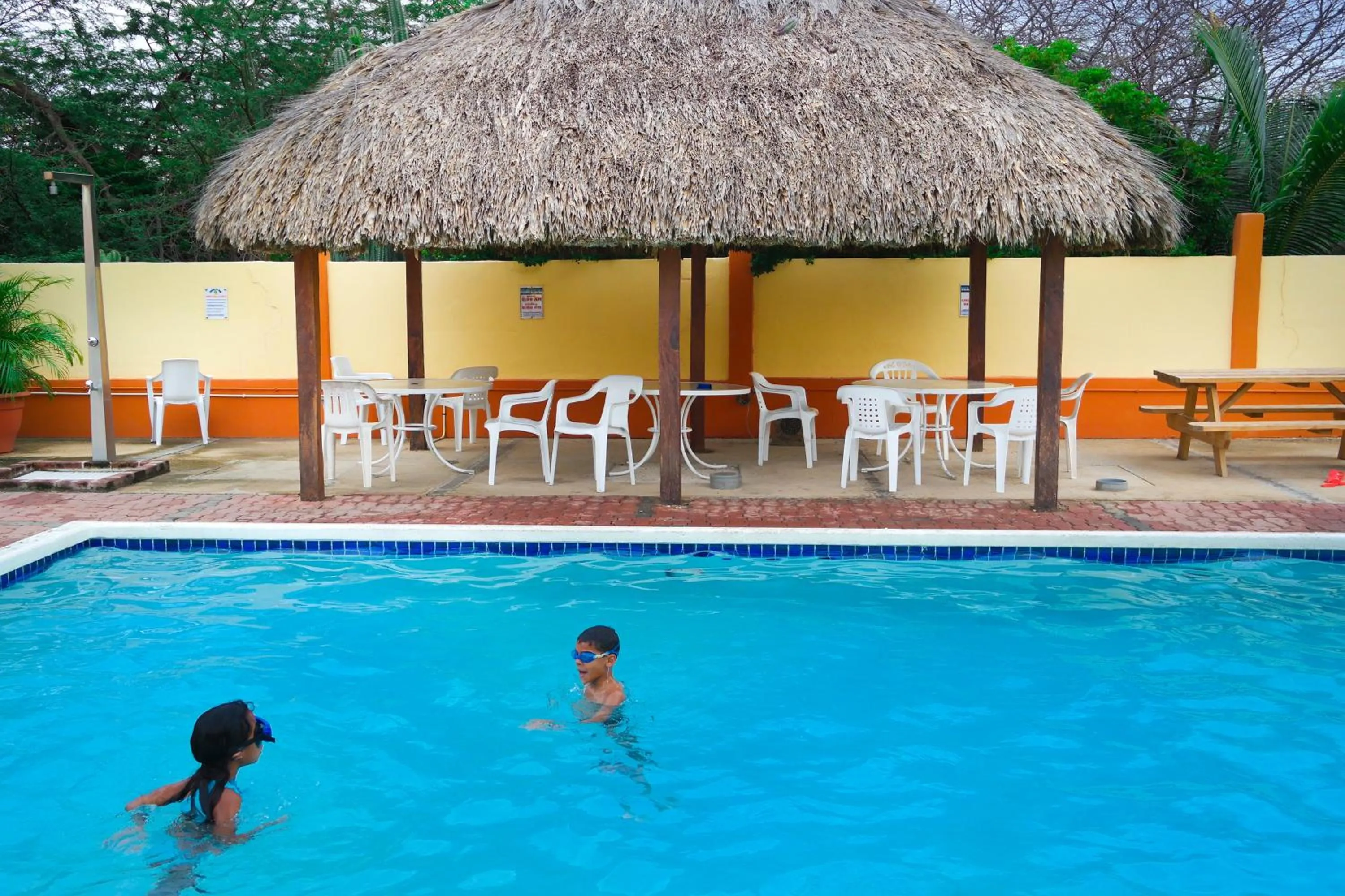 Swimming pool in Coconut Inn
