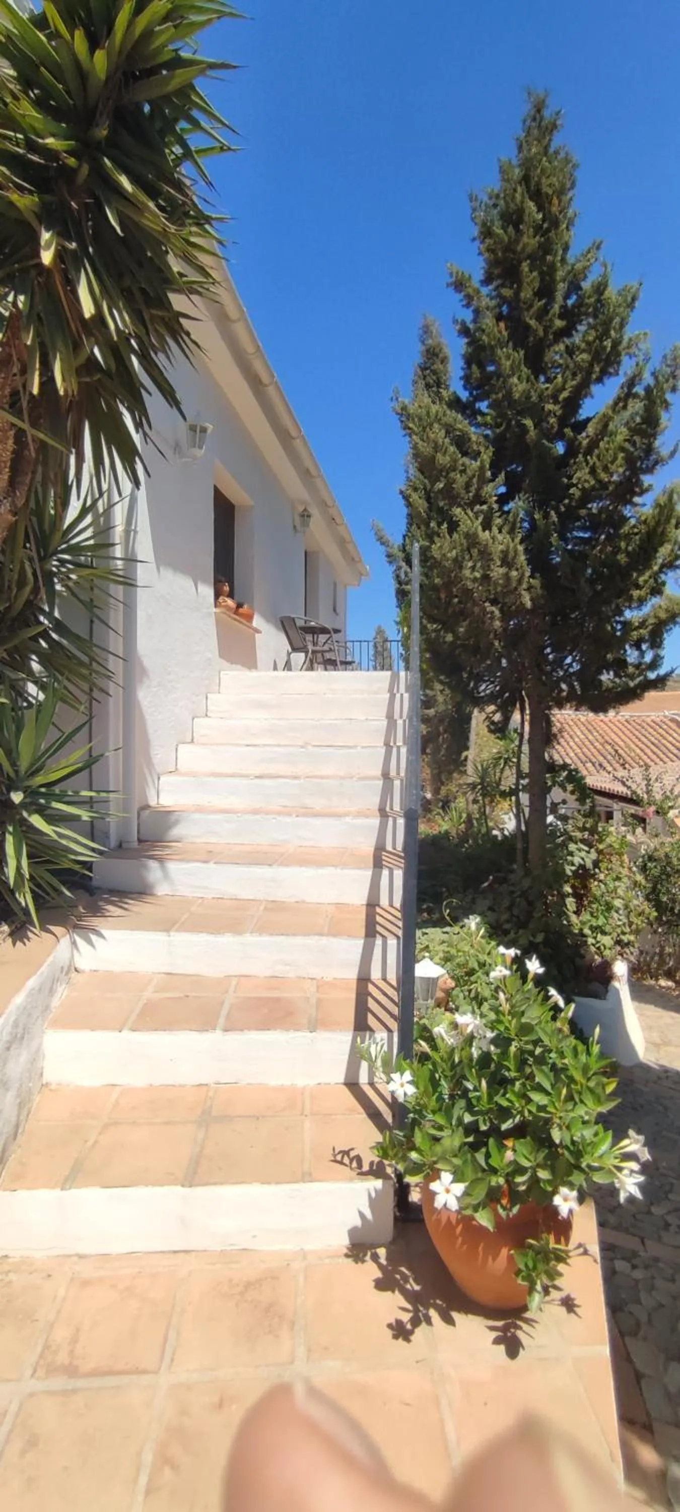 B&B Cortijo Loma León