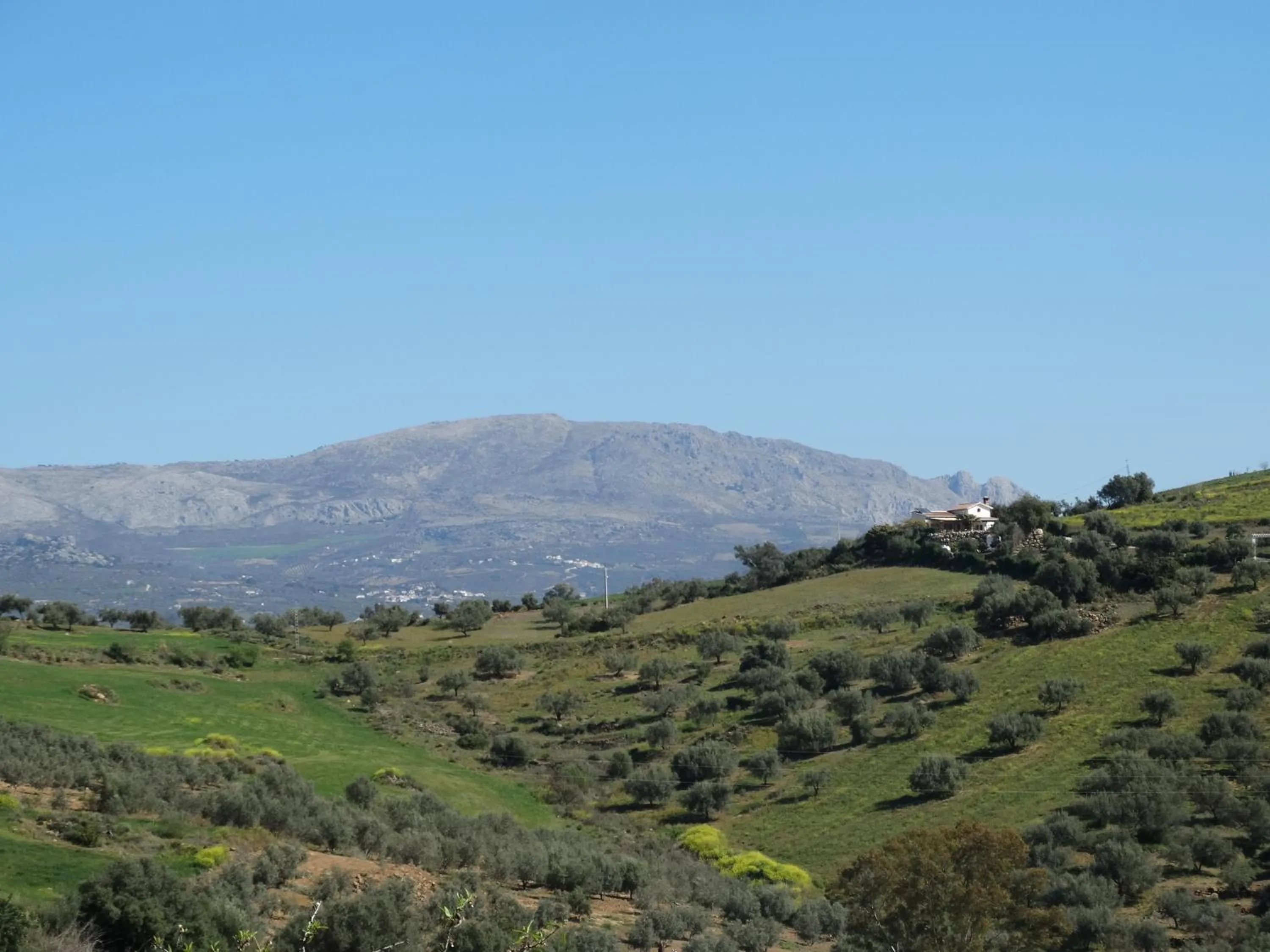 B&B Cortijo Loma León