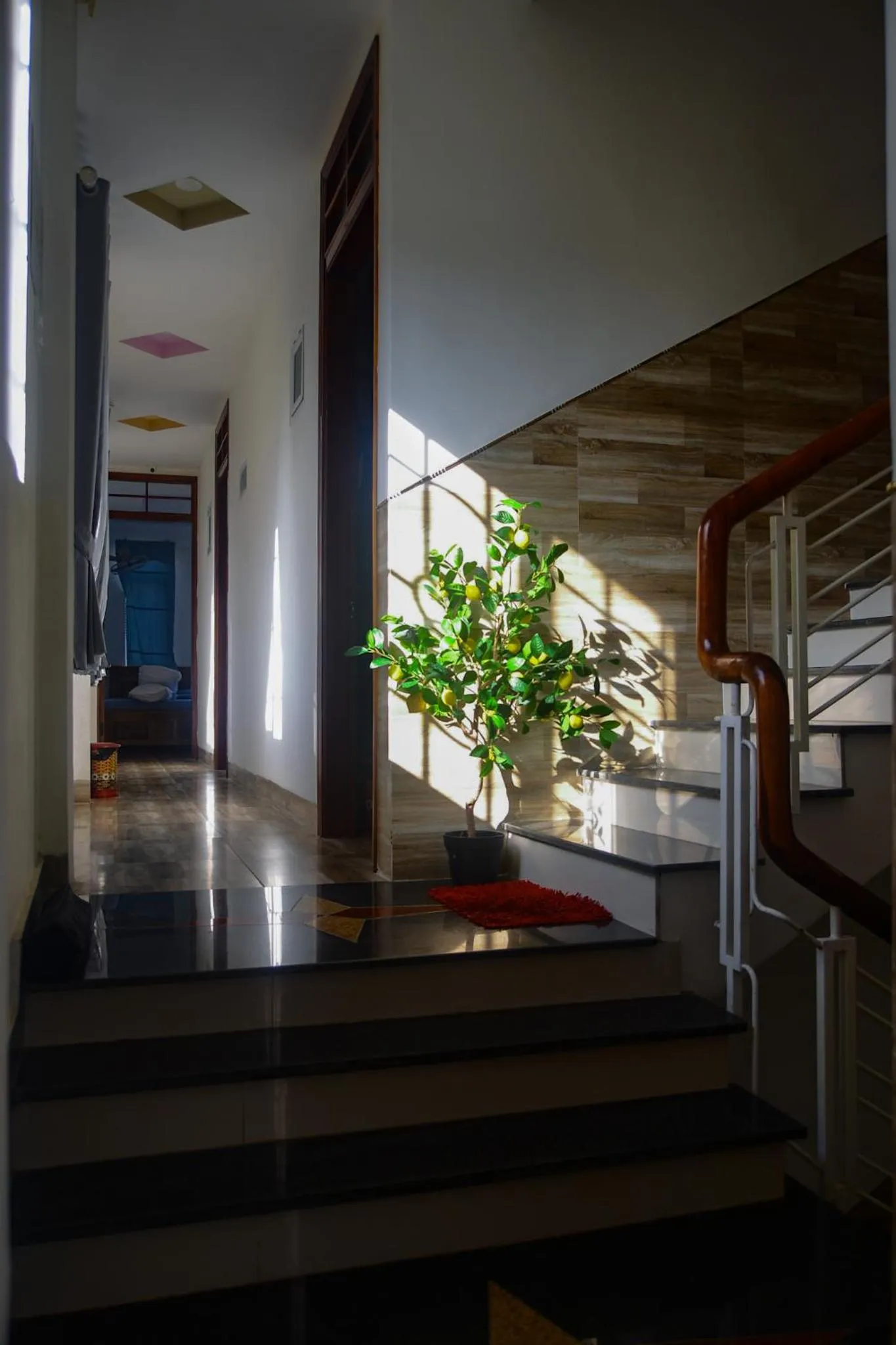 Property building in Sông Suối Homestay