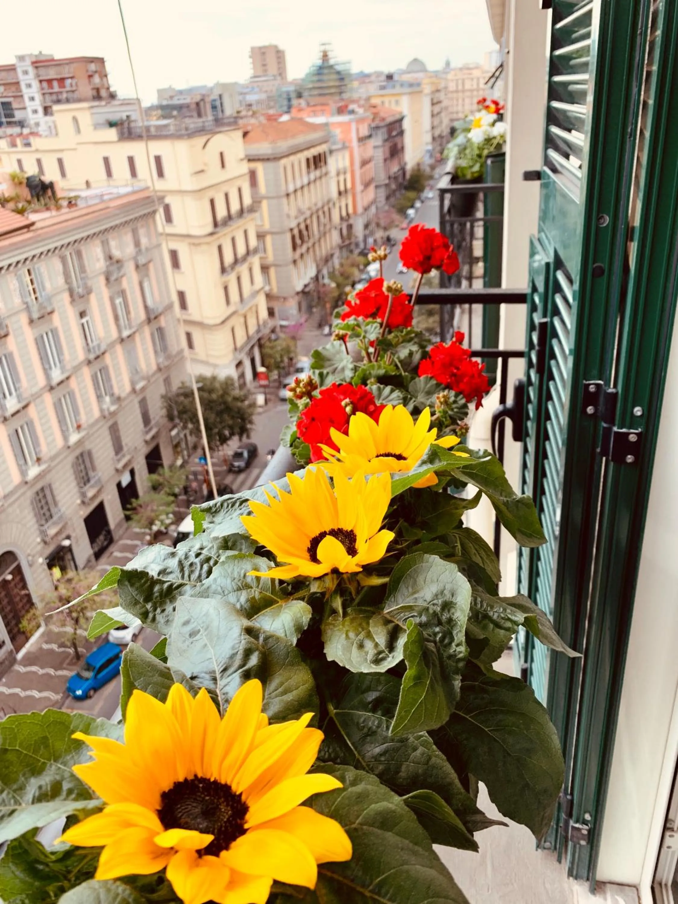 Neighbourhood in Nacu 90