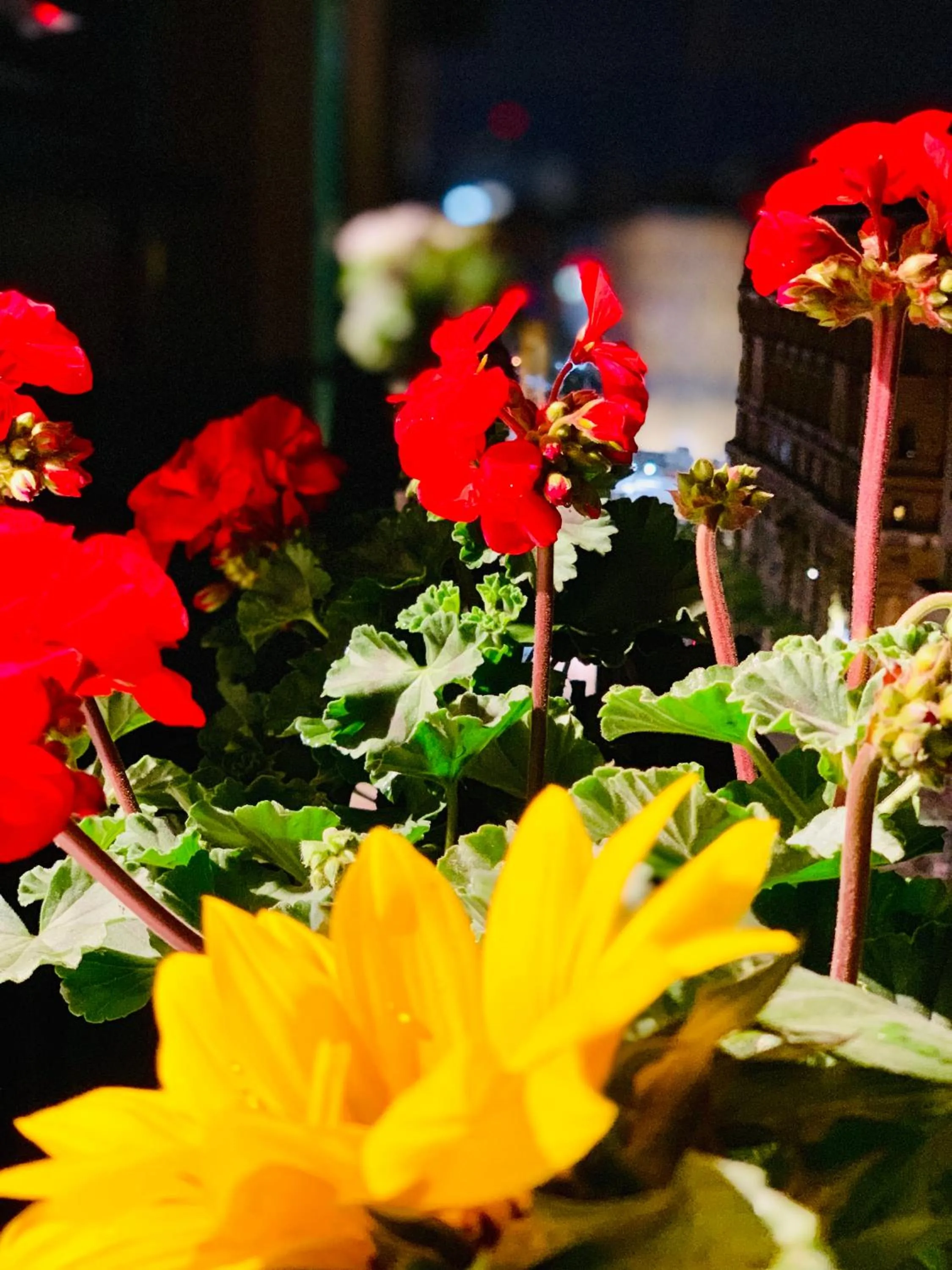 Decorative detail in Nacu 90