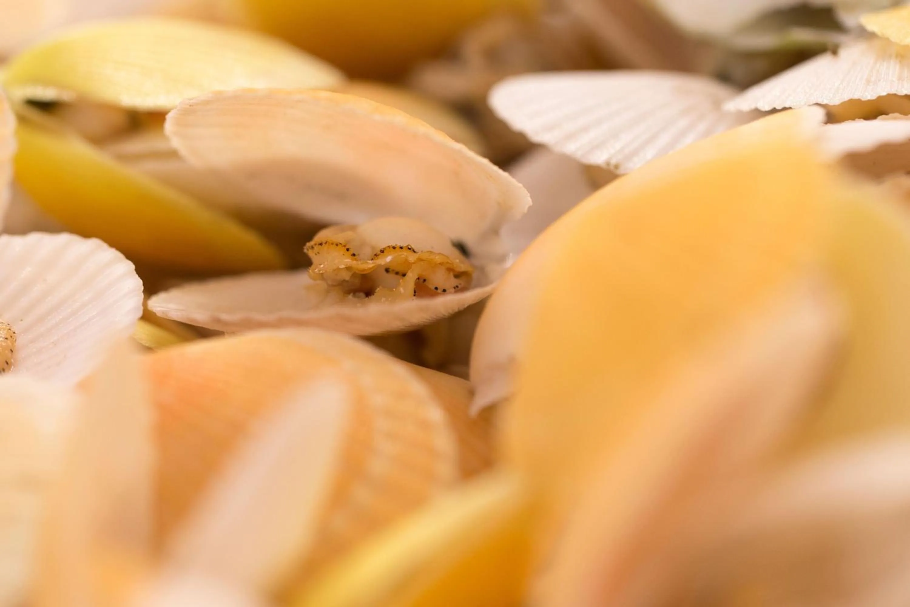 Restaurant/places to eat in Le Méridien Nouméa Resort & Spa